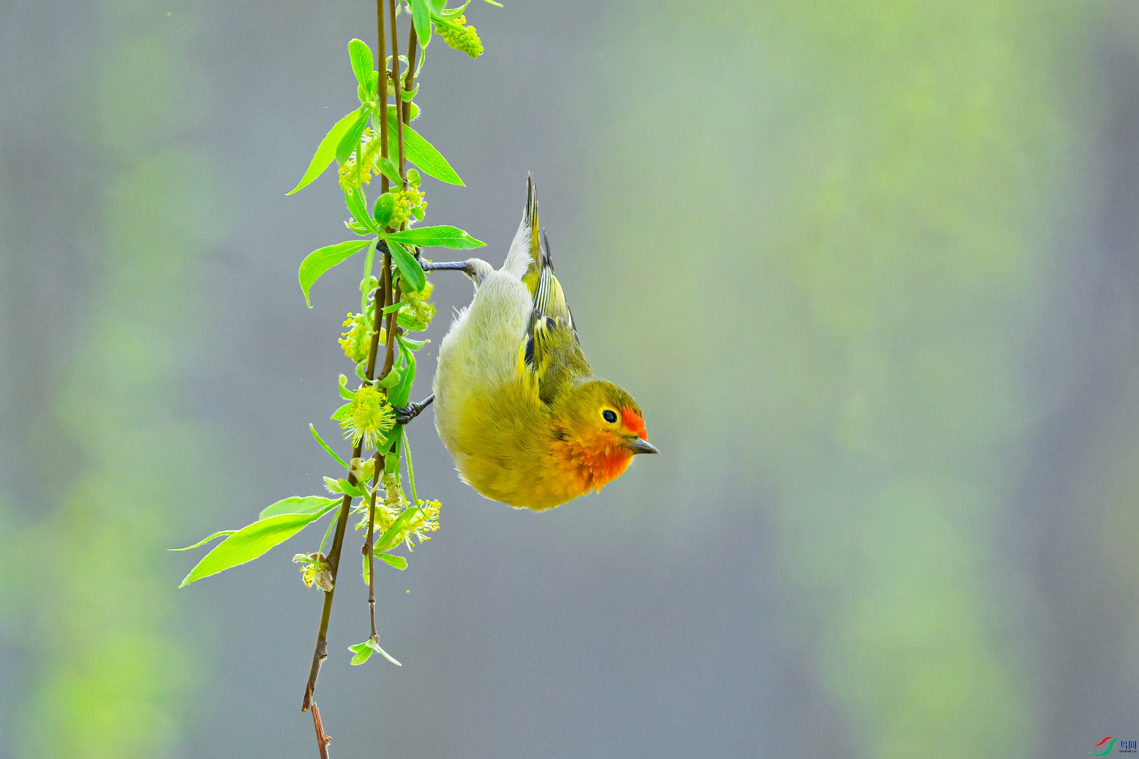 _DSC3626x.jpg