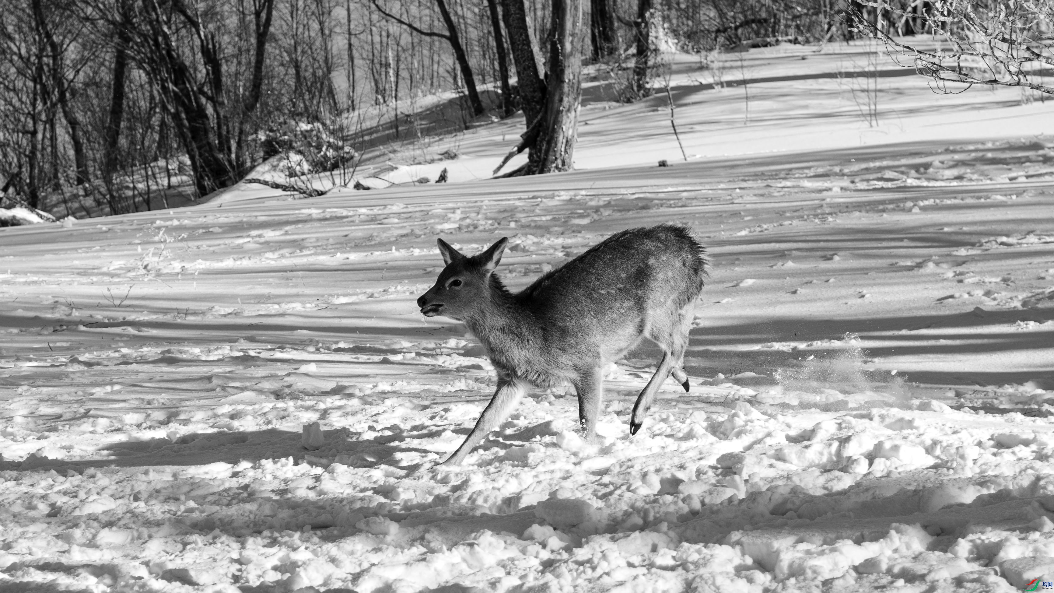 DSC_5163 ����.jpg