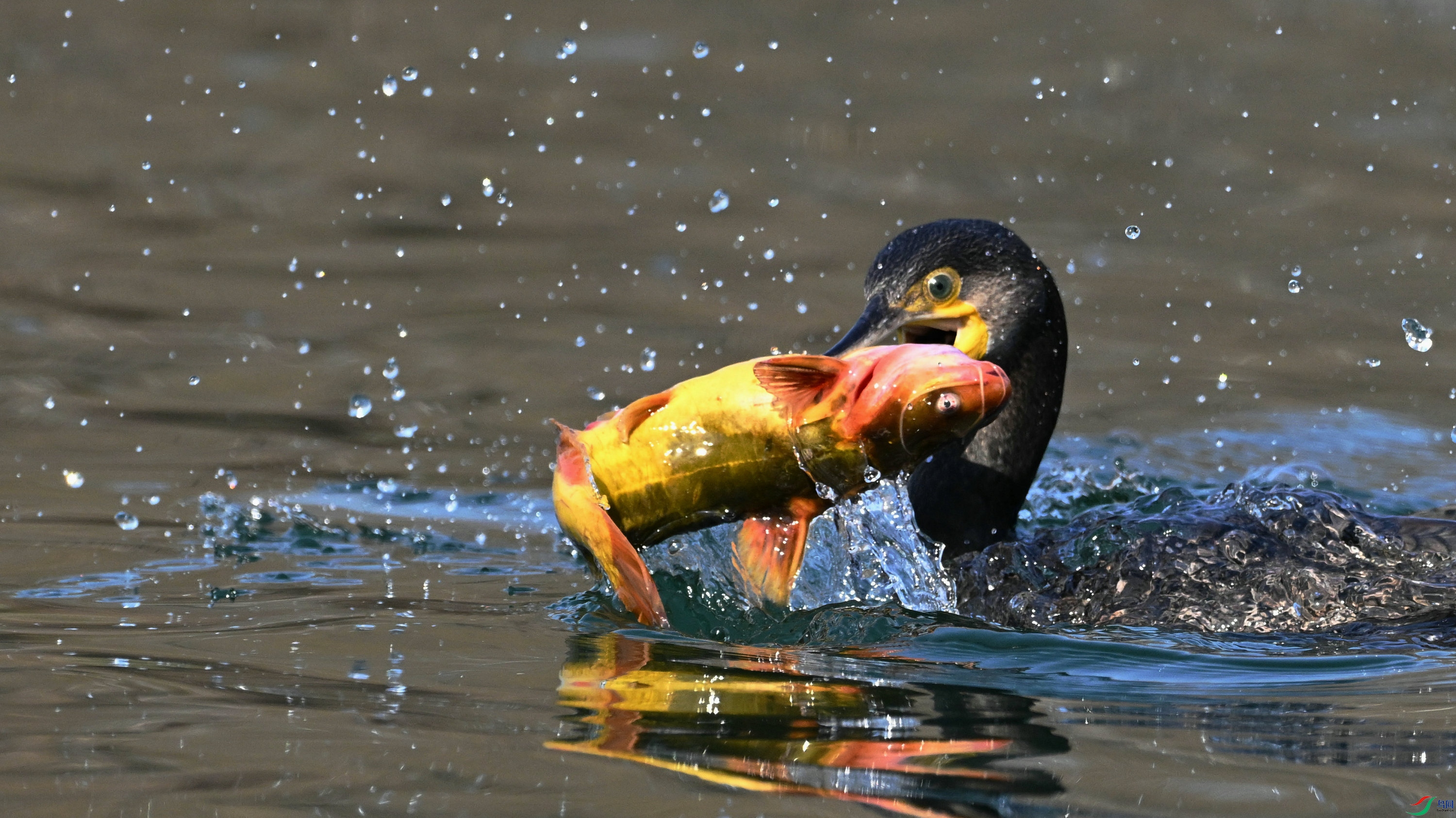 DSC_0112.JPG