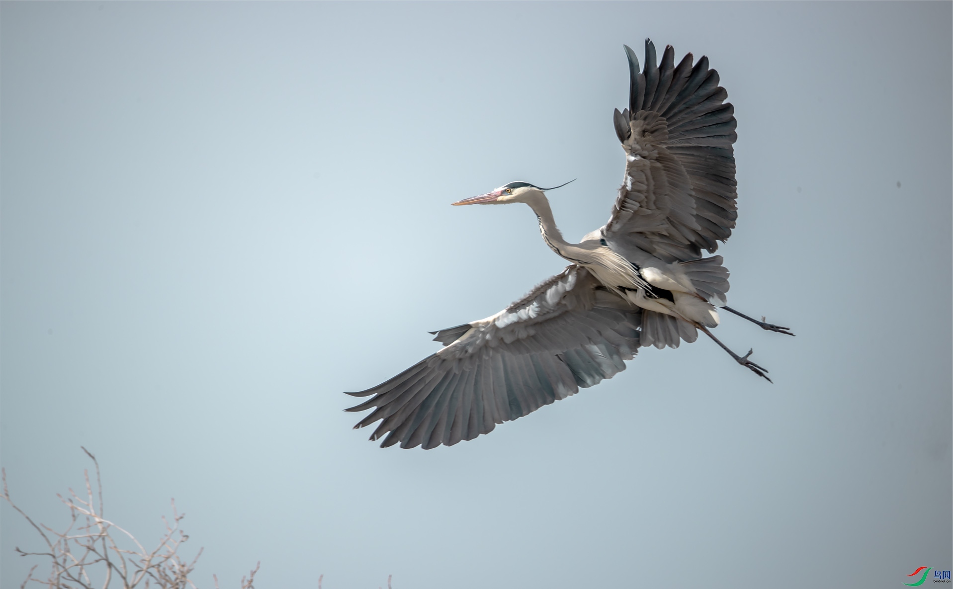 ����43 ����.jpg