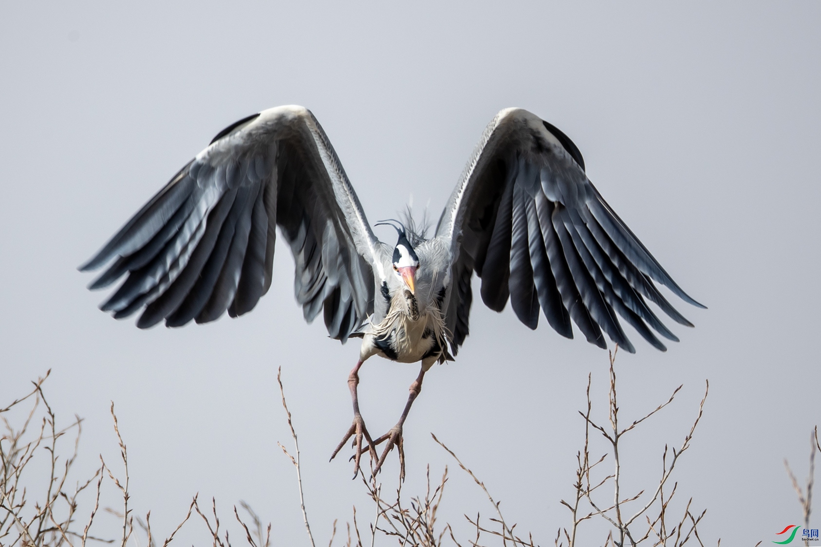 ����00 ����.jpg