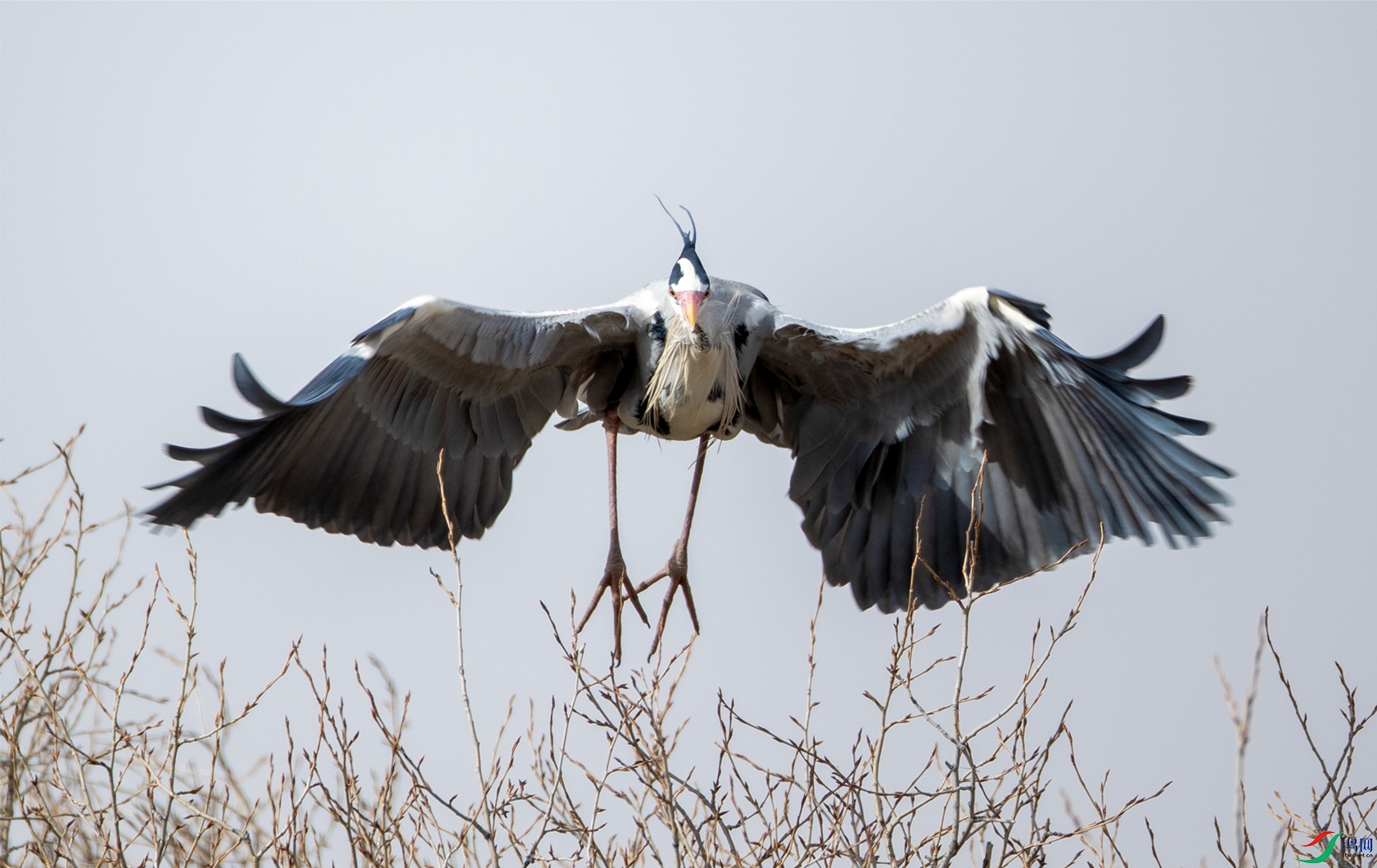 ����99 ����.jpg