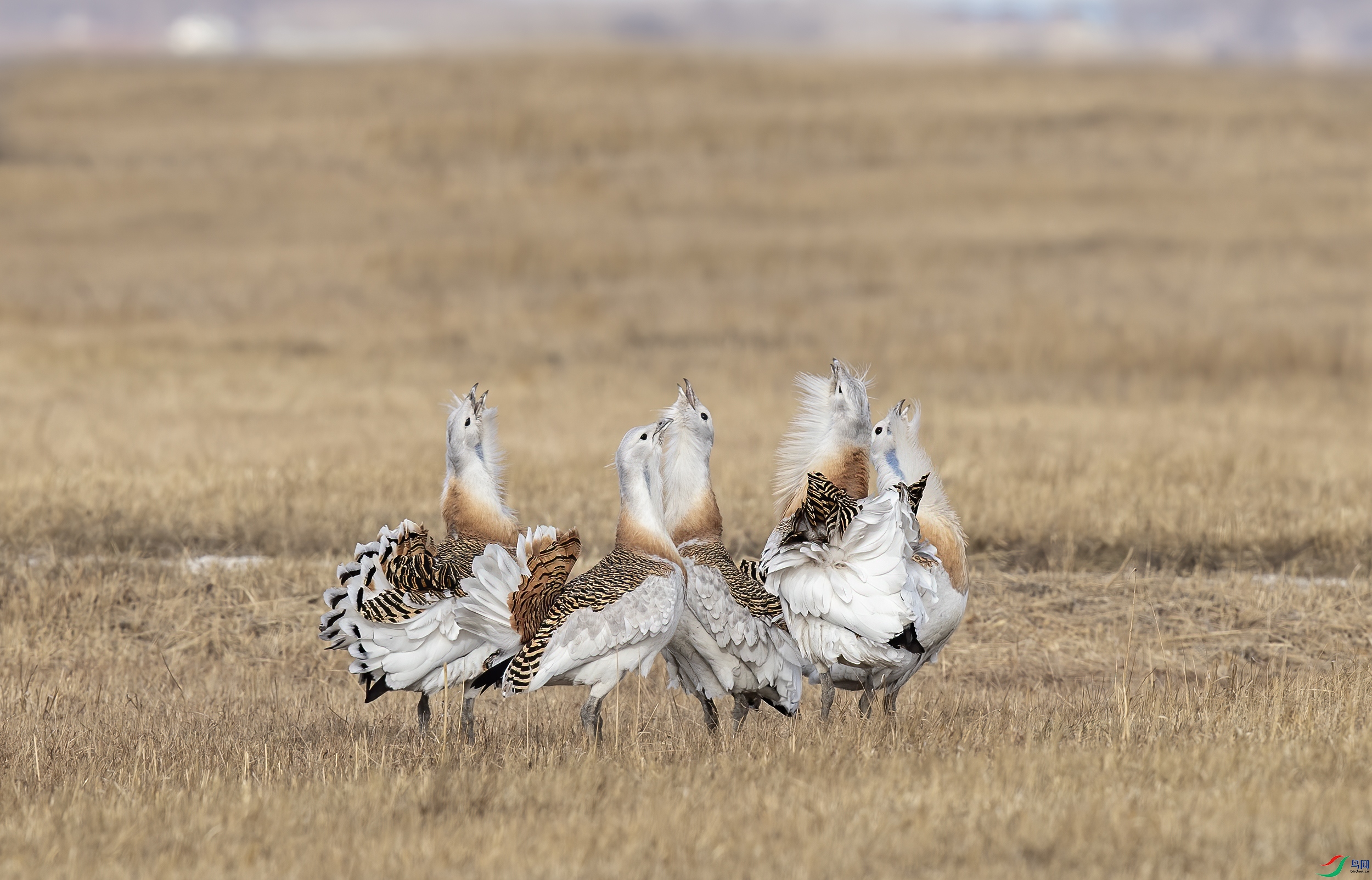 AC3I6959 ����.jpg