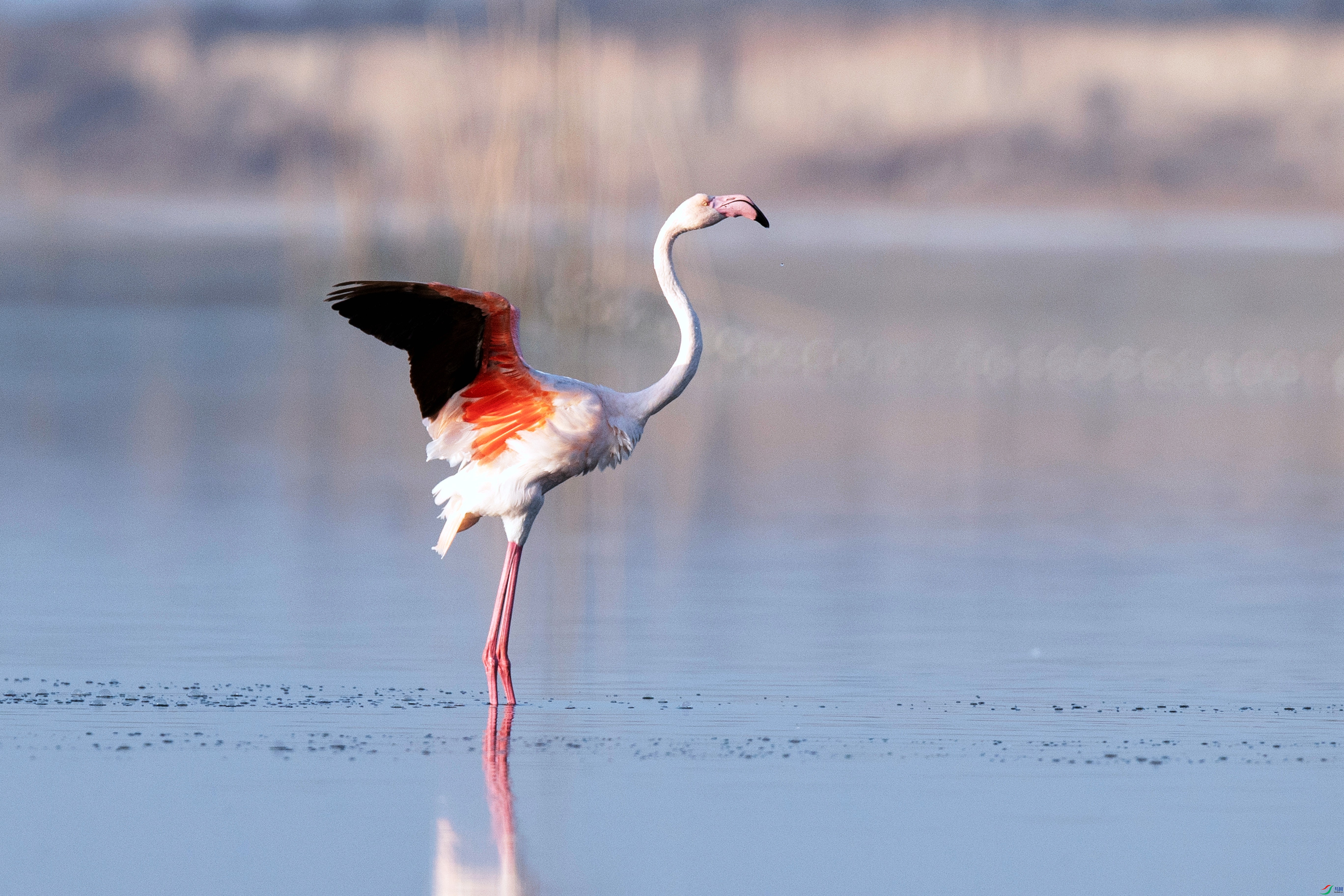 A63I8478_����.jpg