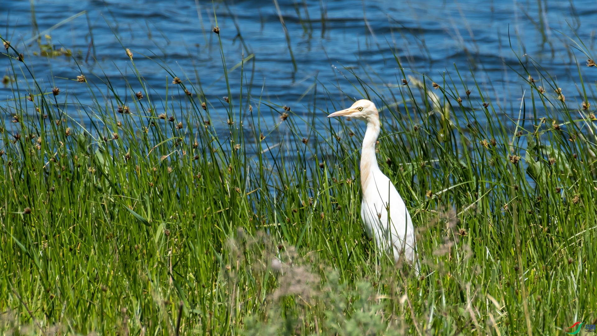 _DSC8447.jpg