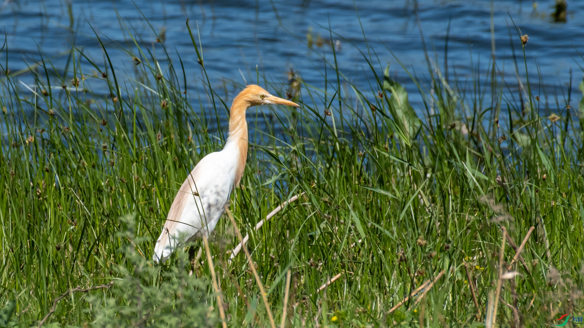 _DSC8463.jpg