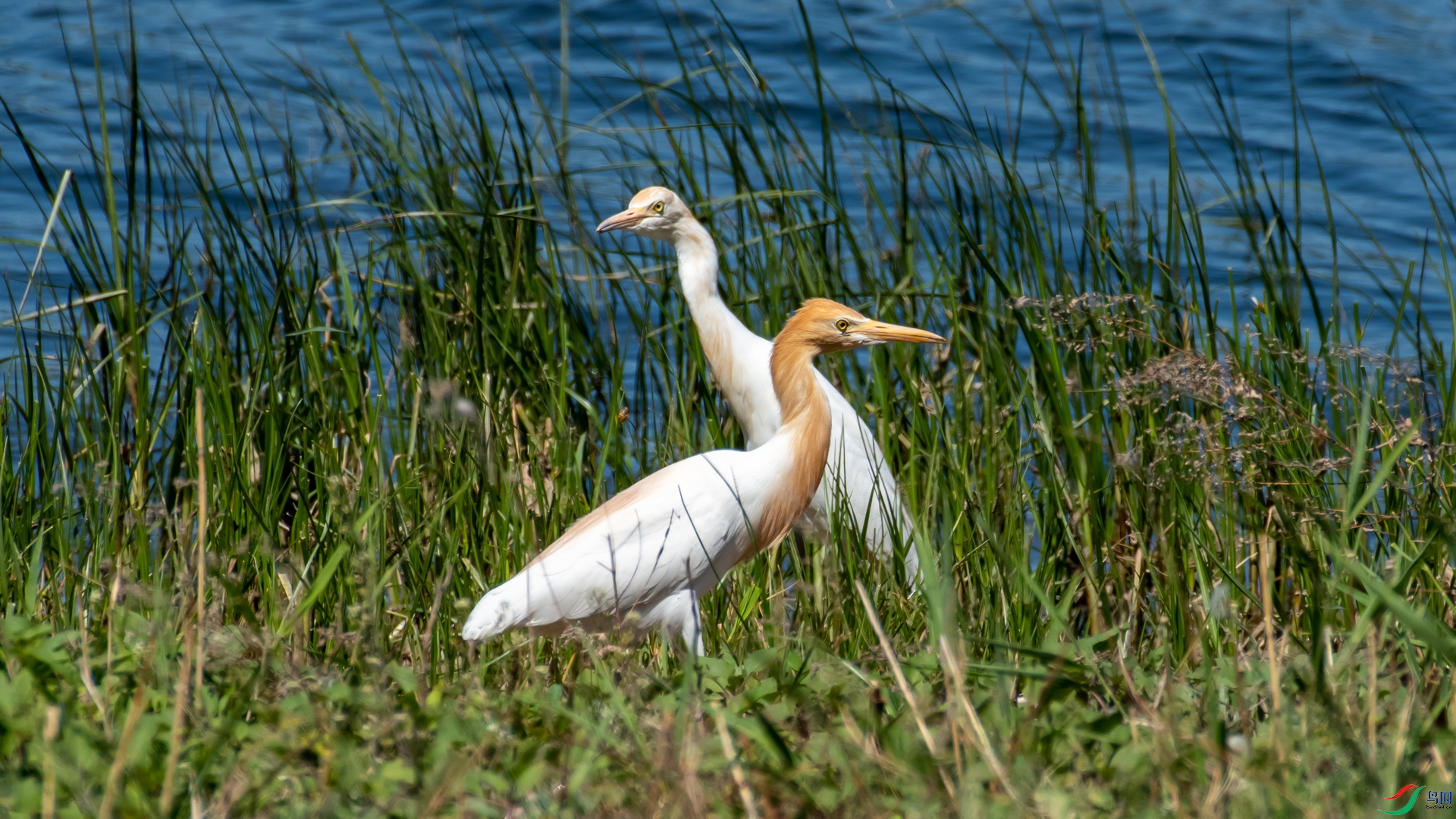 _DSC8532.jpg