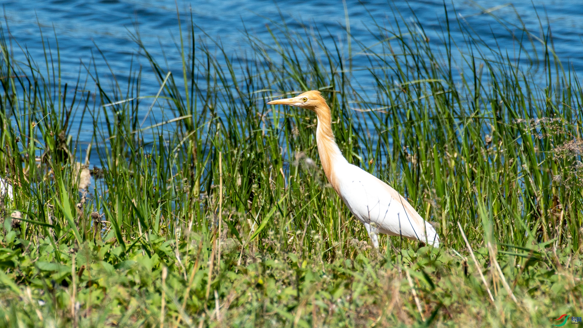 _DSC8560.jpg