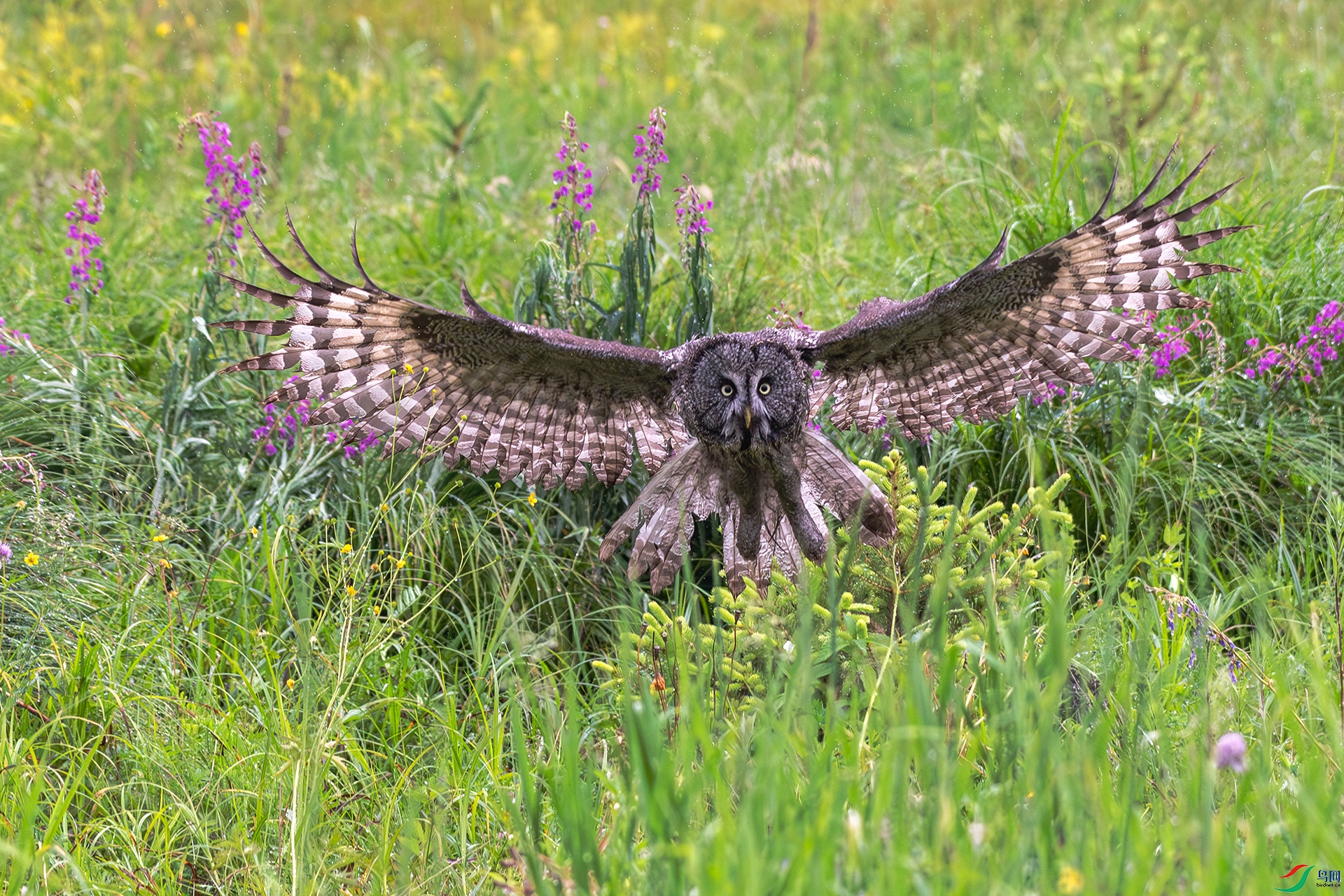 20250314չ�� ����.jpg