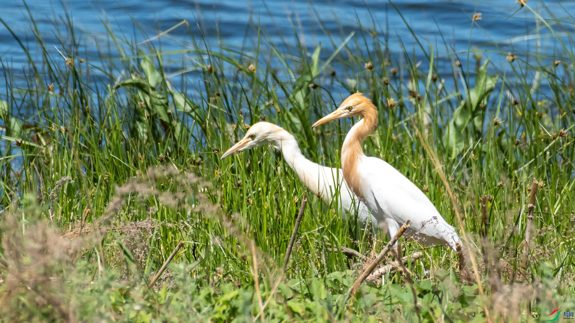 _DSC8655.jpg
