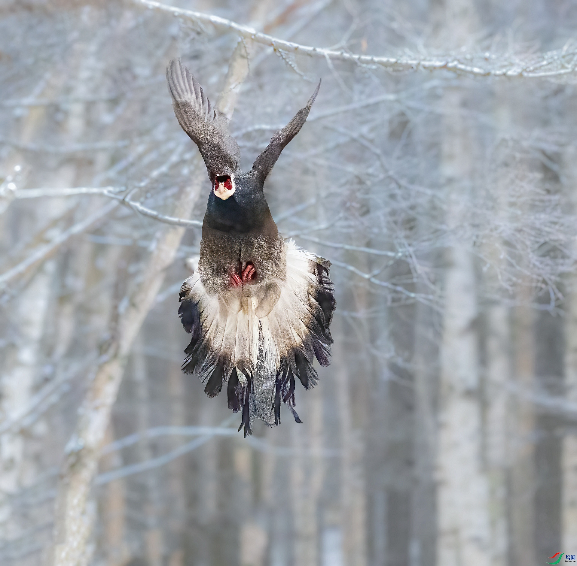 DSC_9477_����.jpg