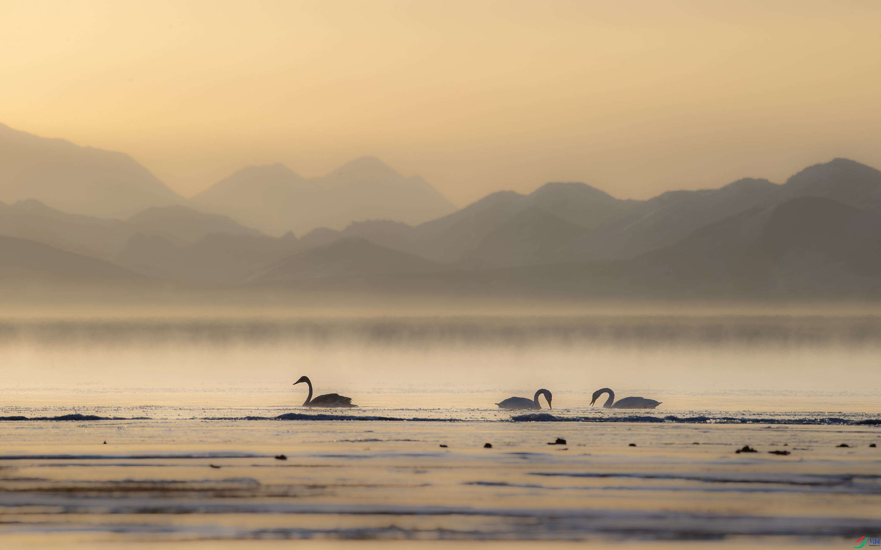 A15I8555-����ǿ-NR ����.jpg