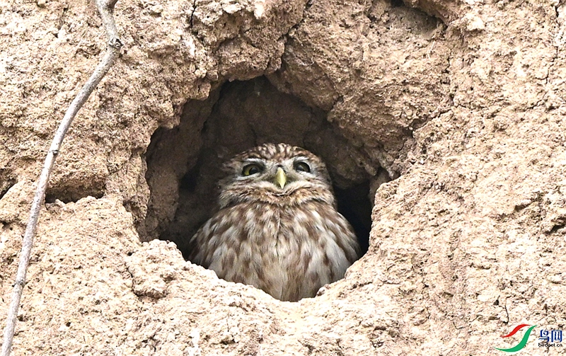 DSC_7040.JPG