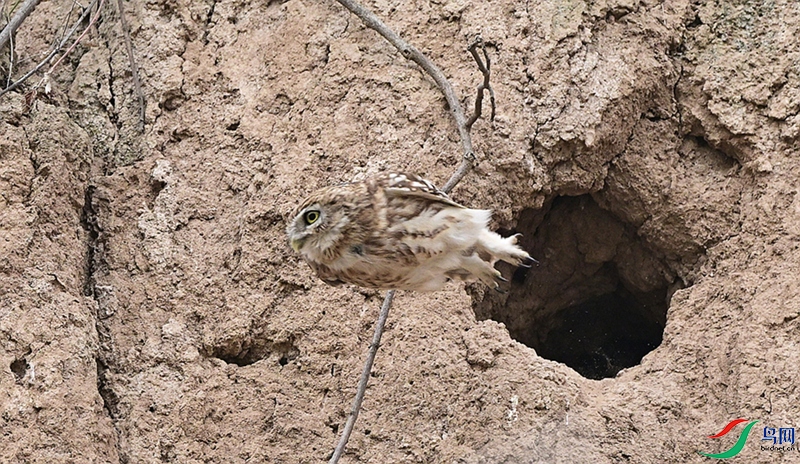 DSC_7094 - ����.JPG