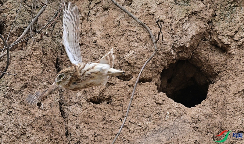 DSC_7095 - ����.JPG