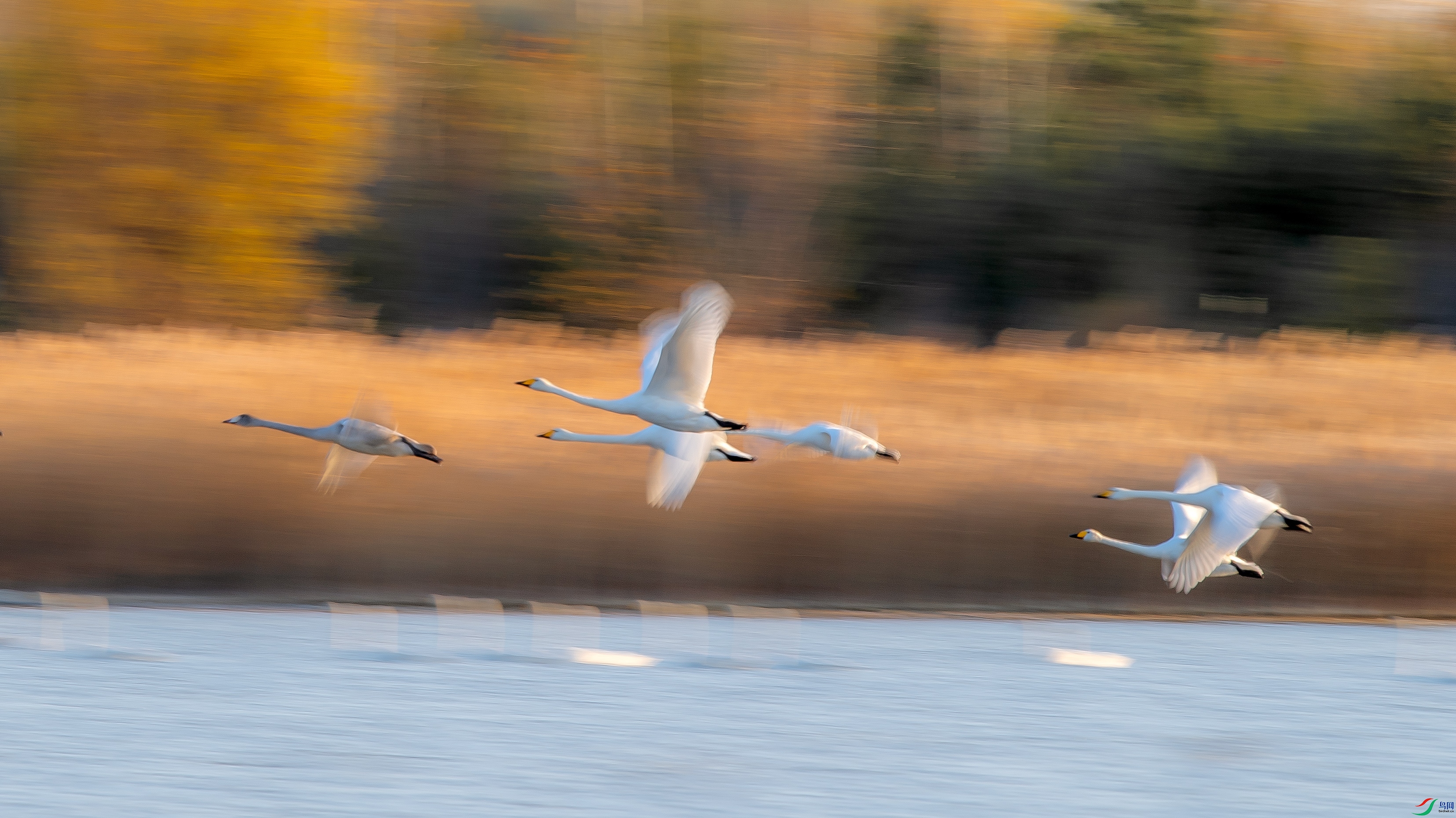 DSC_6654.jpg