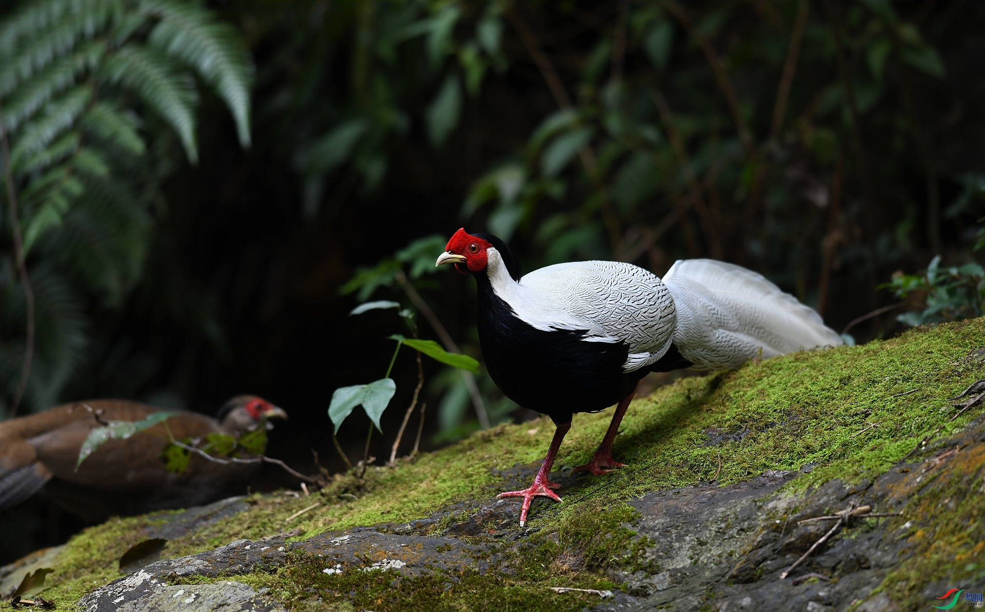 DSC_3666.jpg