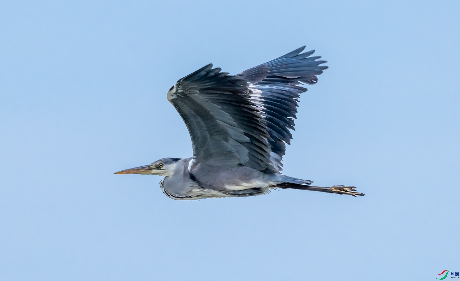 ����48 ����.jpg