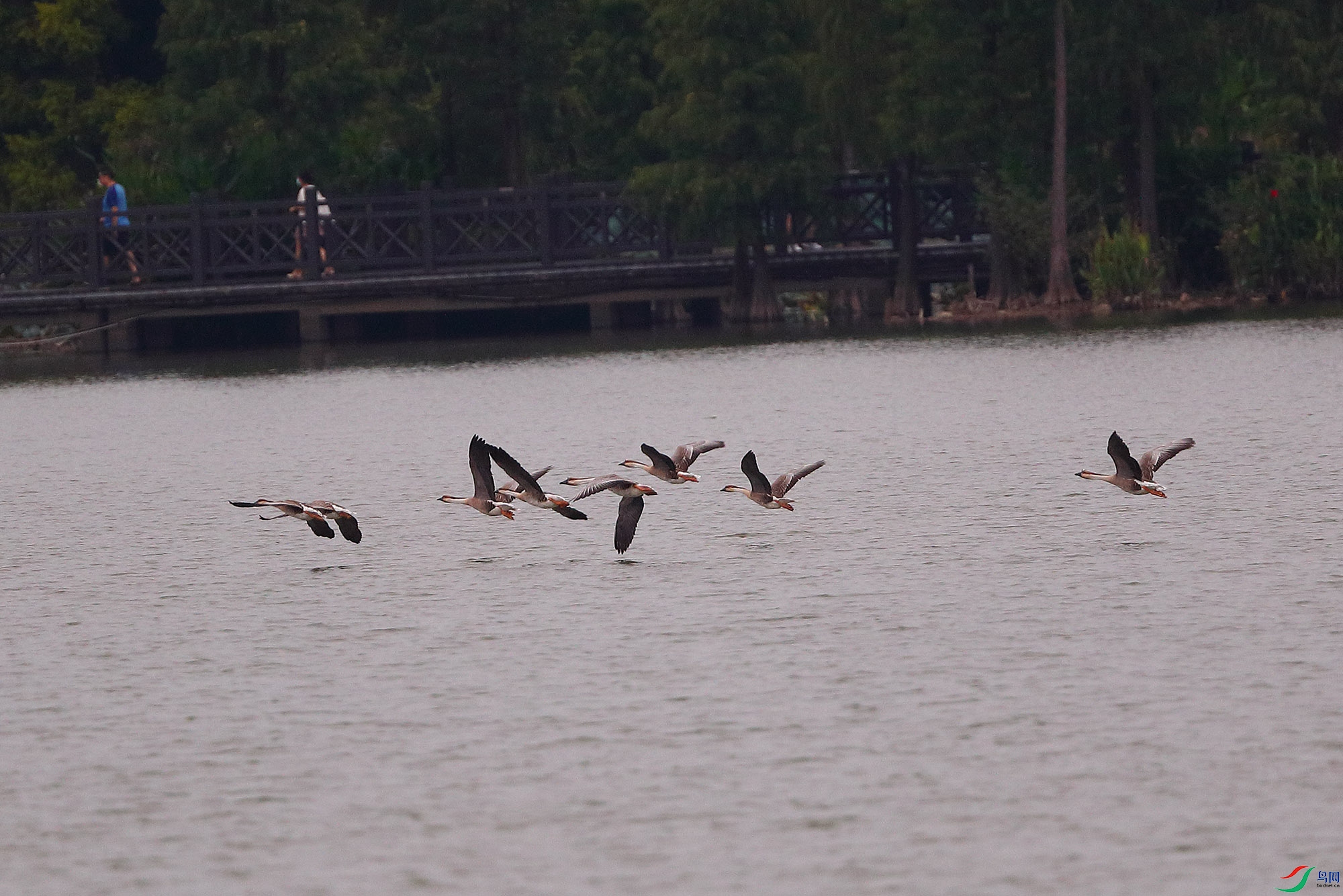 _D9I0830.jpg