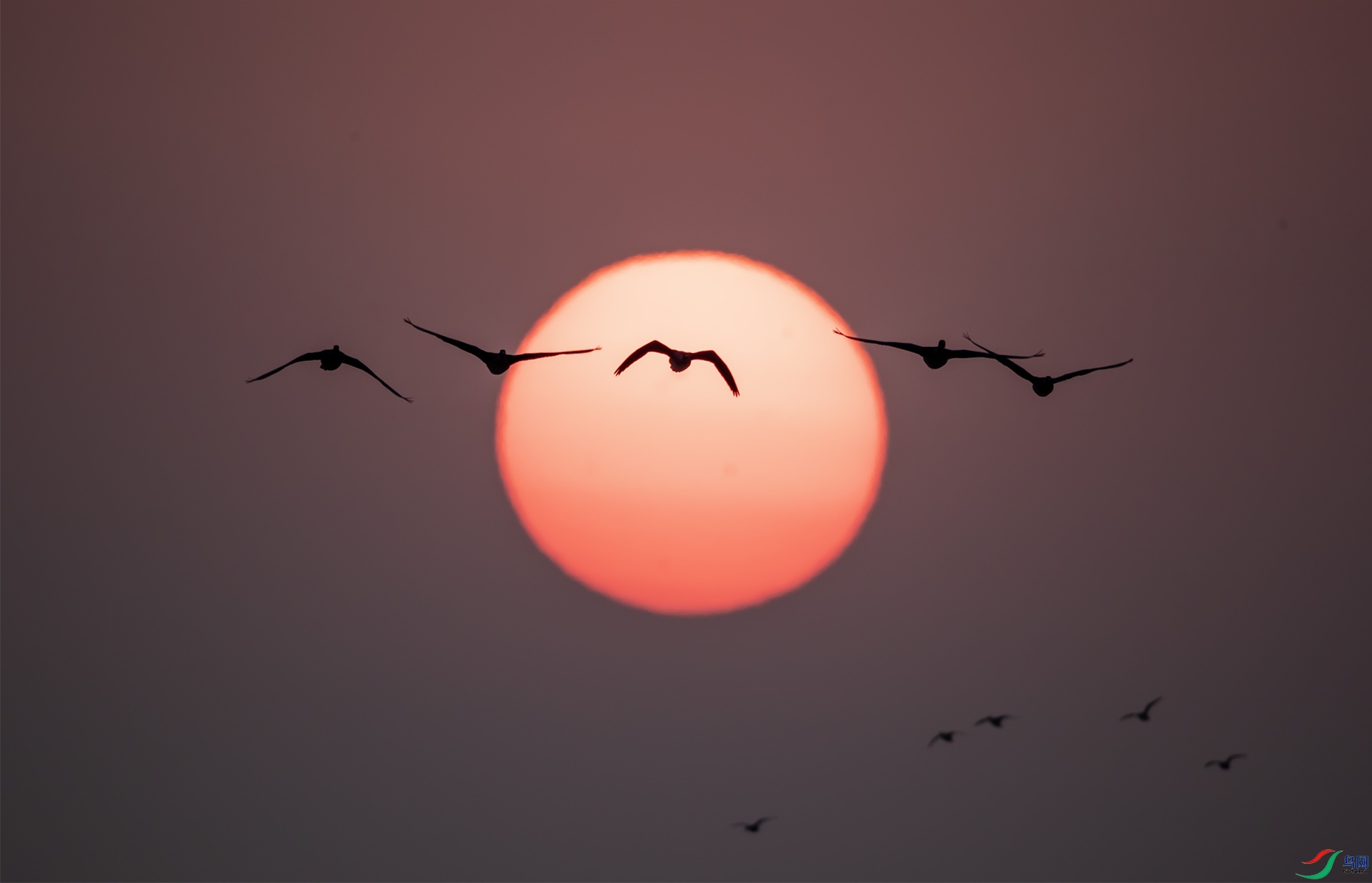 ����̫��--50 ����.jpg