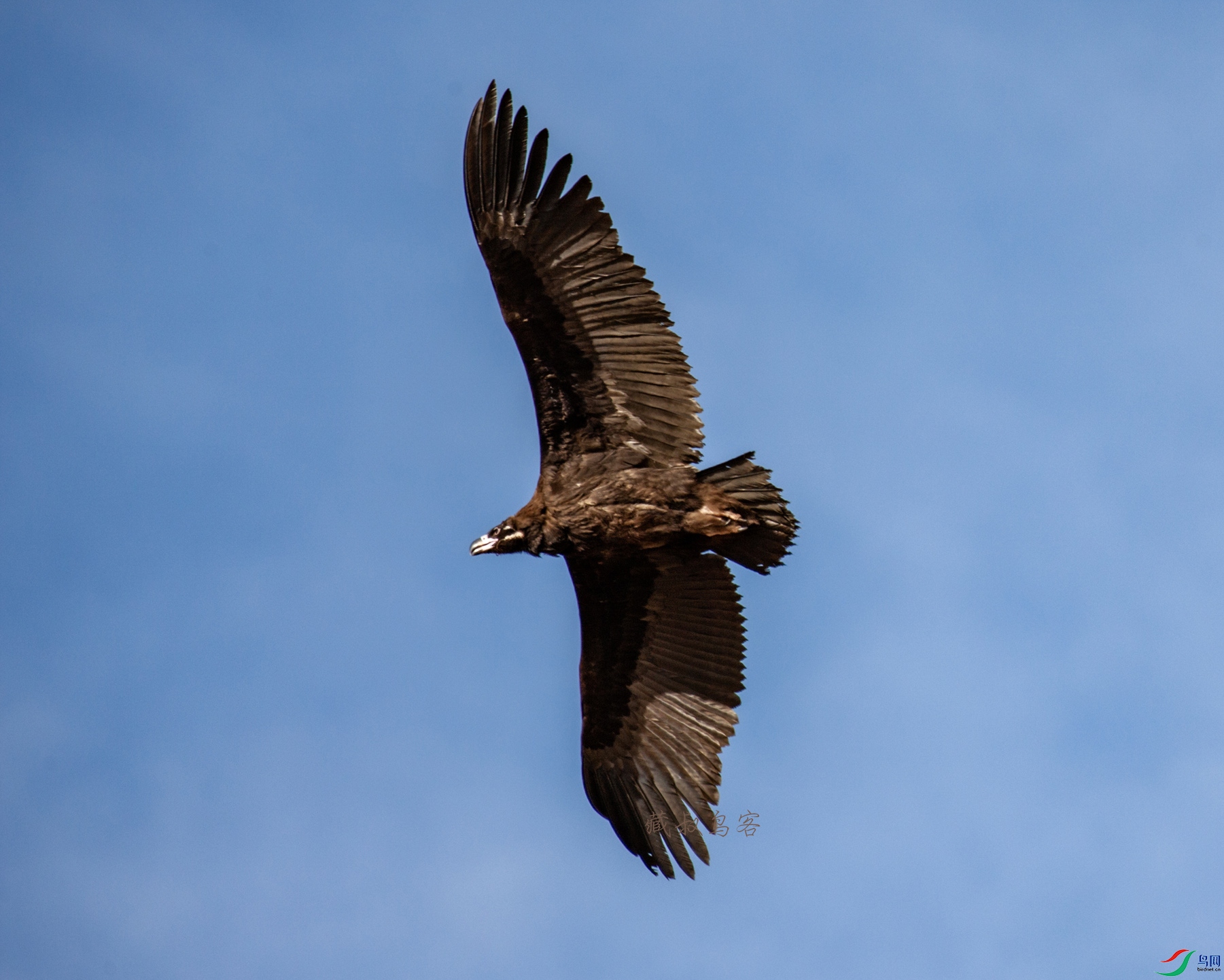 IMGL0393 ͺ�� ����.jpg