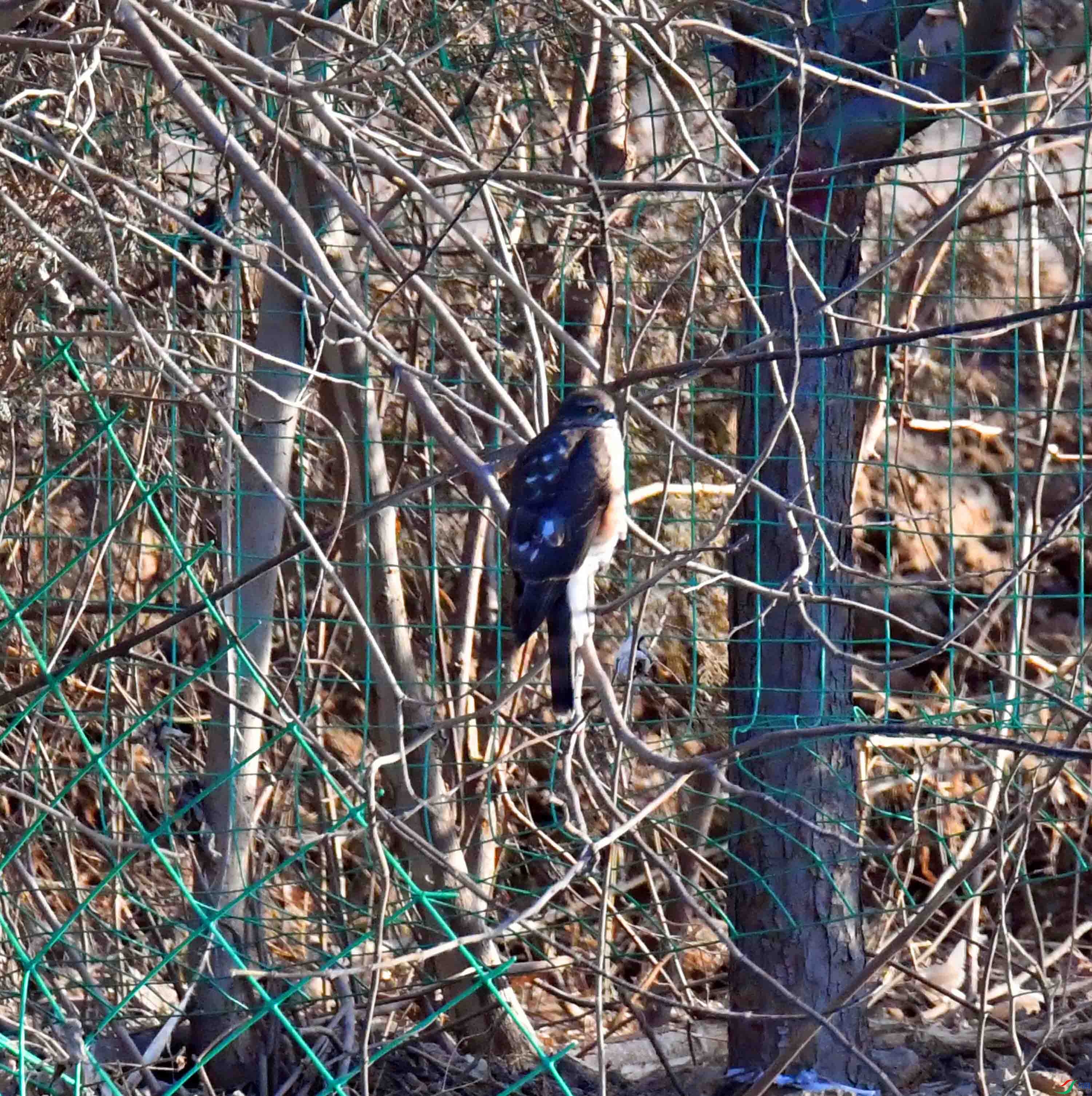 DSC_3290.JPG