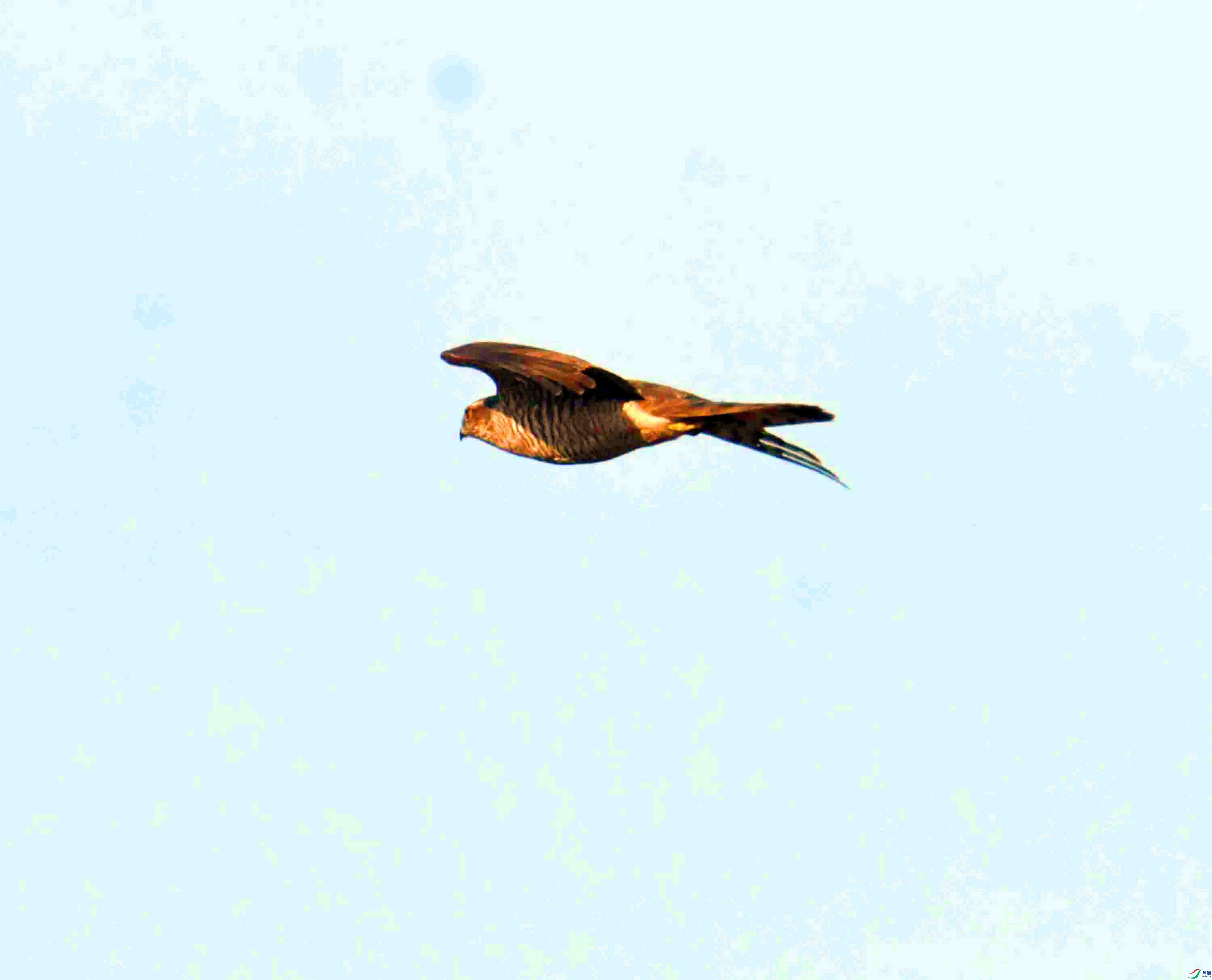 DSC_3456.JPG