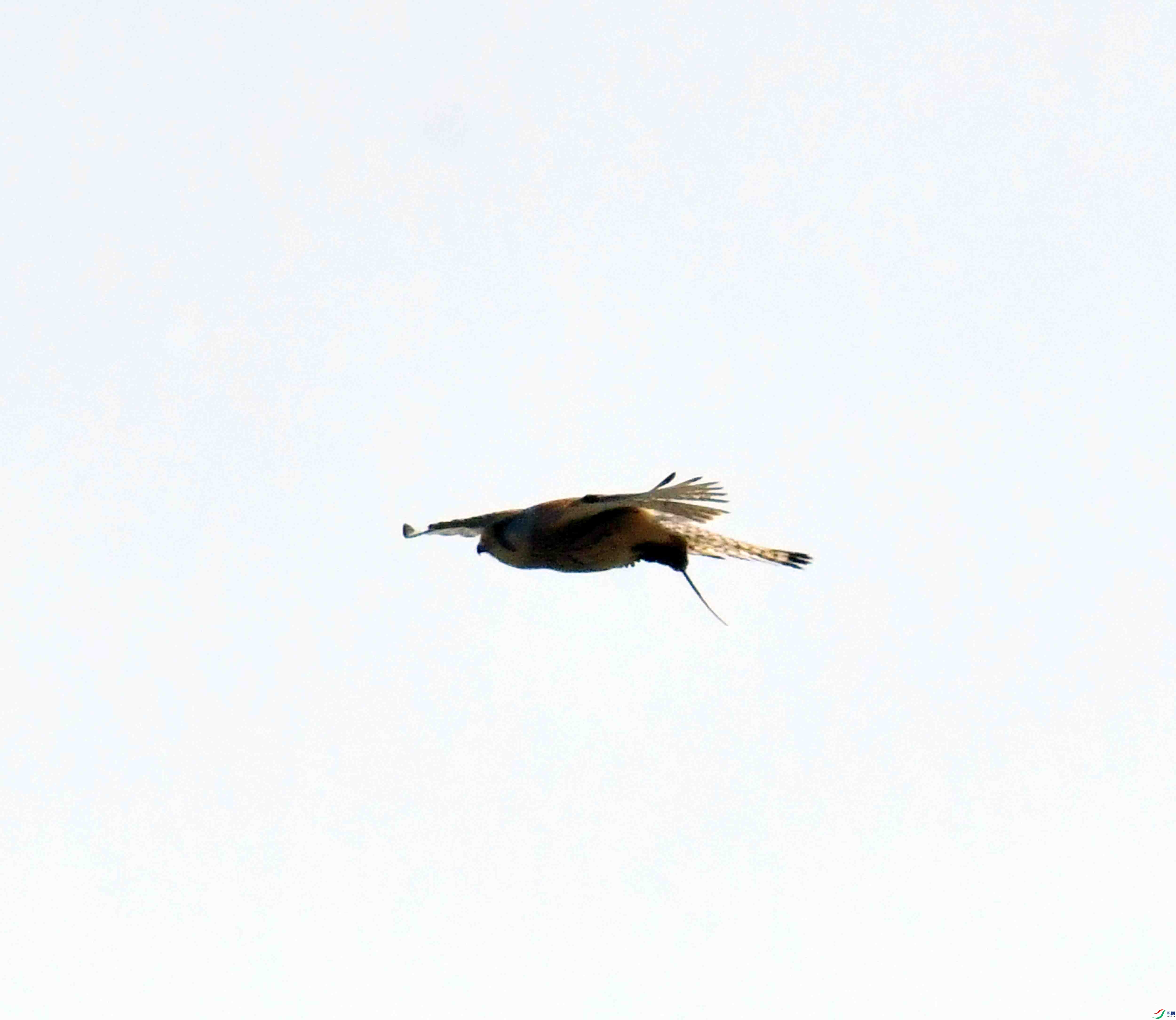 DSC_9129.JPG