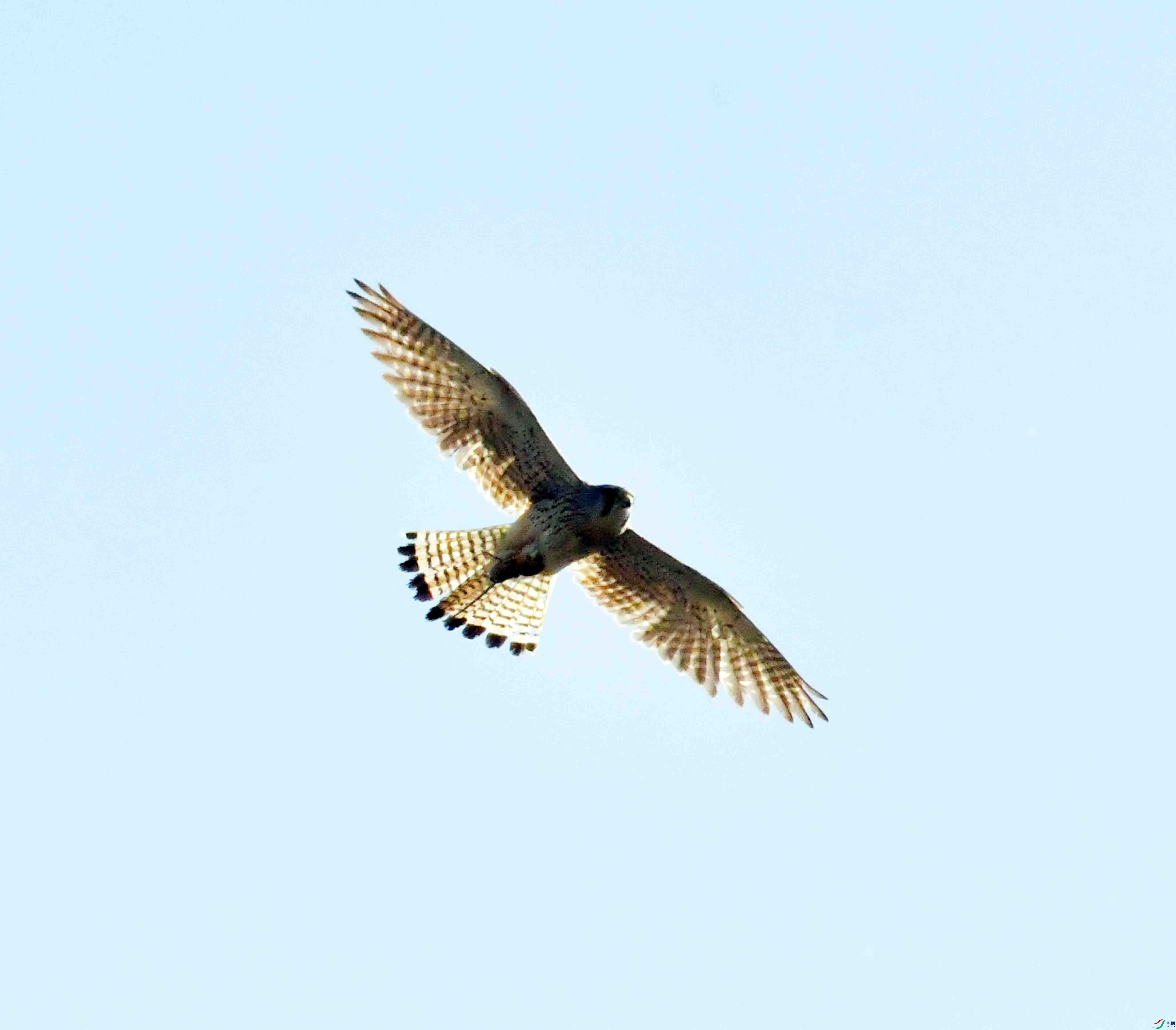 DSC_9133.JPG