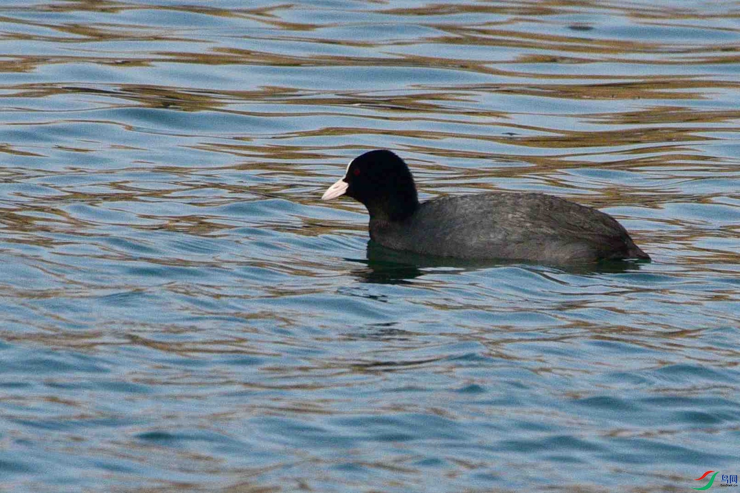 DSC_0013.JPG