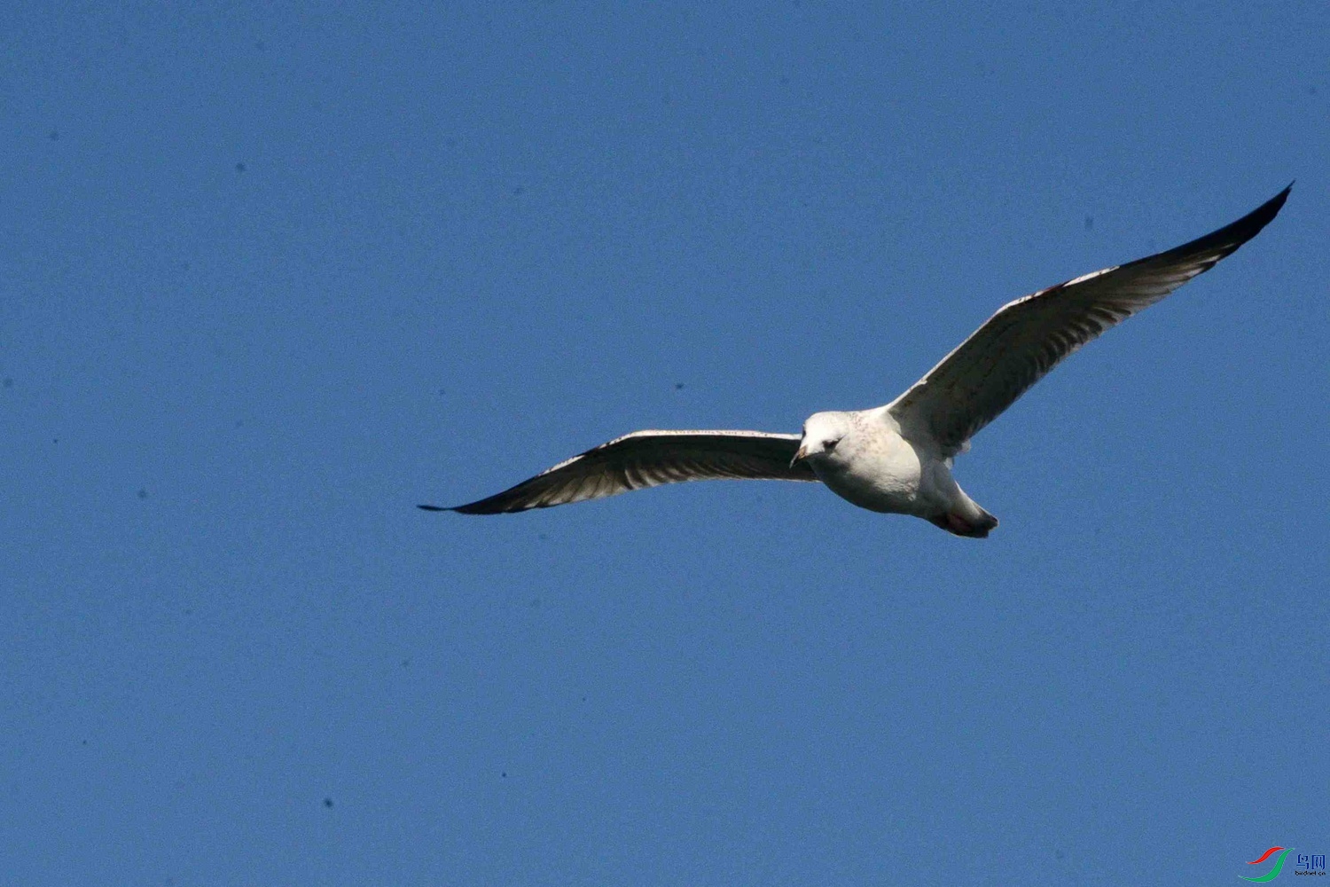 DSC_9712.JPG