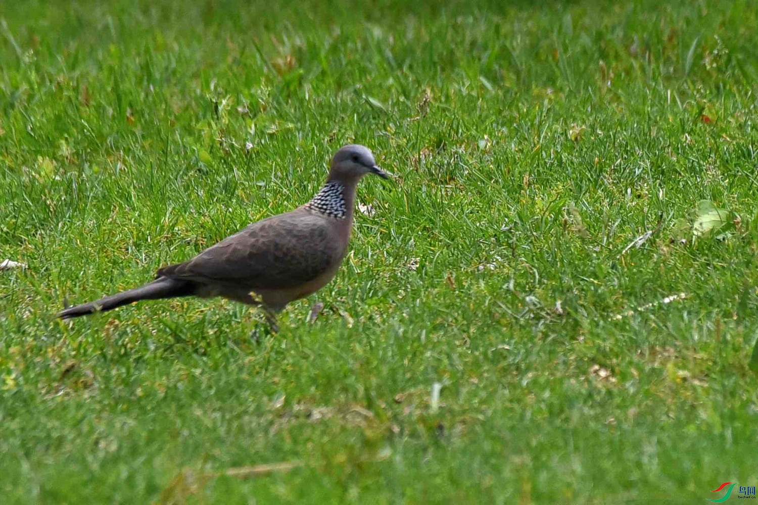 DSC_6891.JPG