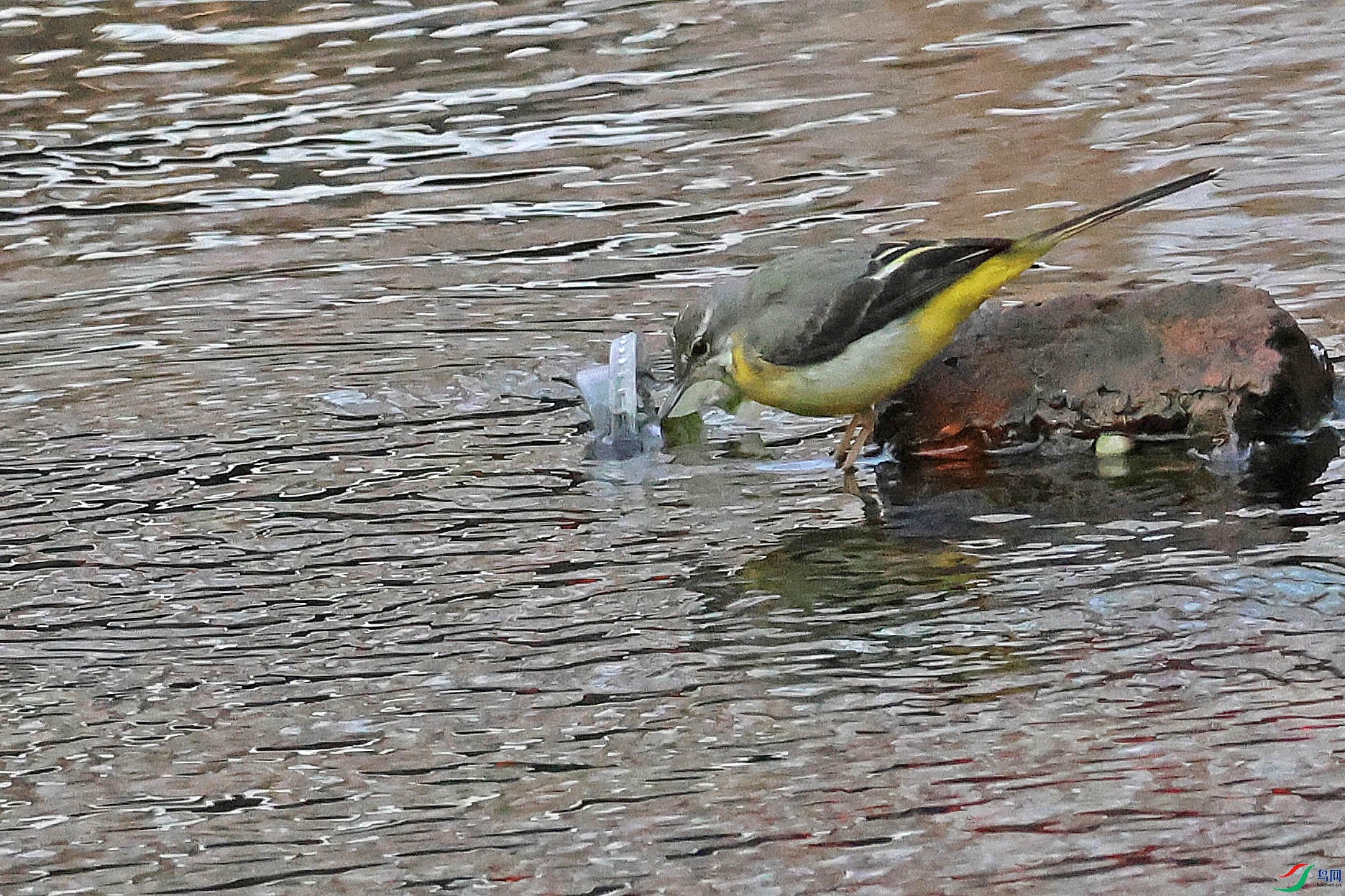 2G9A7605.JPG