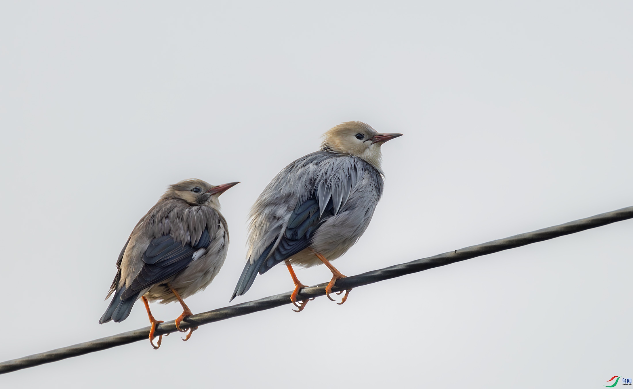 2I1A9374-����ǿ-NR ����.jpg