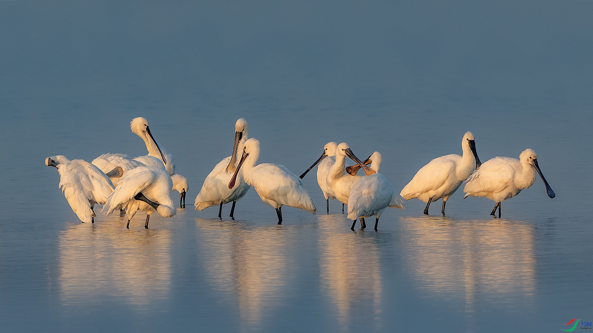 _DSC2871-����ǿ-NR ����С.jpg