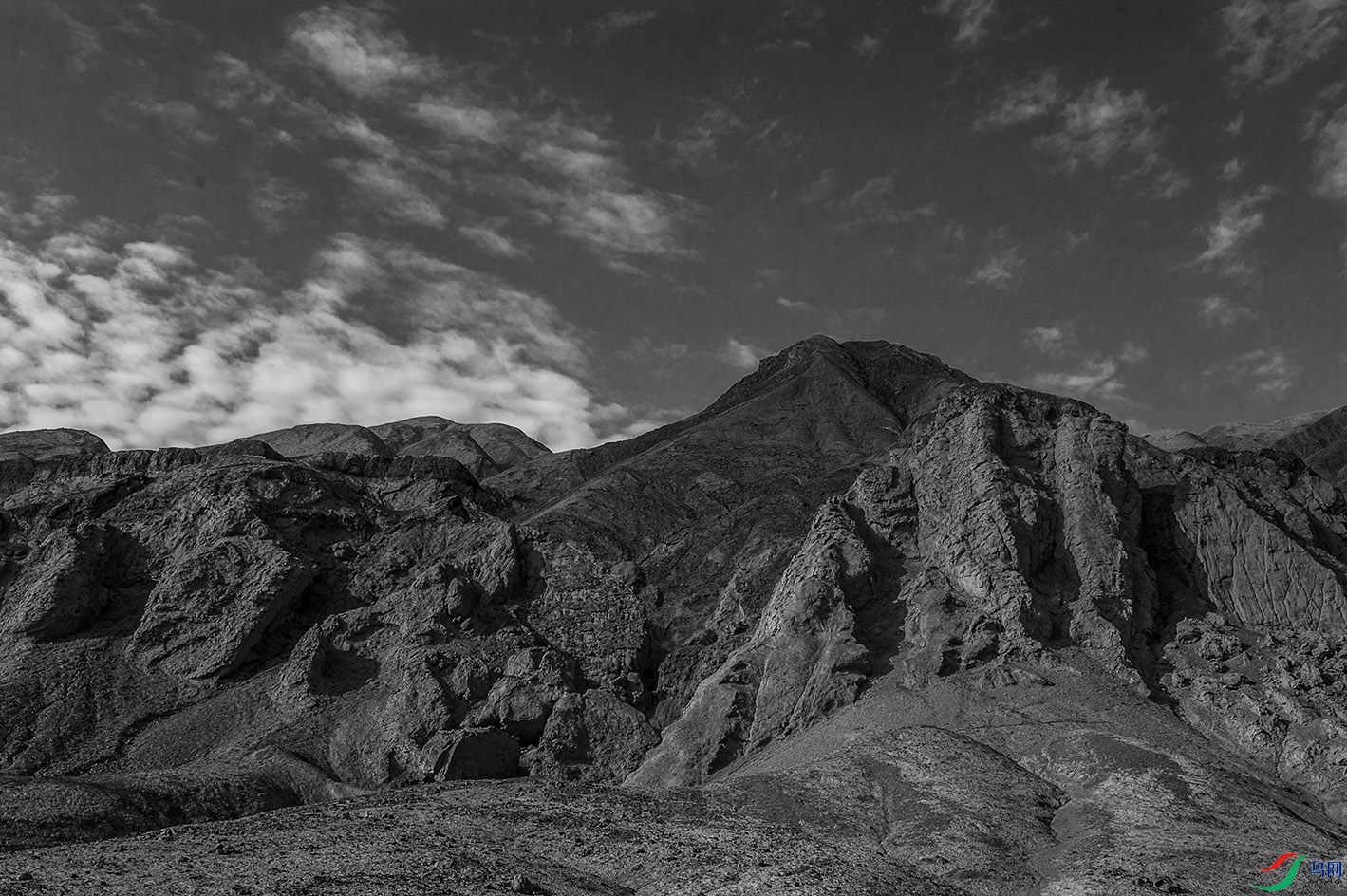 DSC_1233.jpg