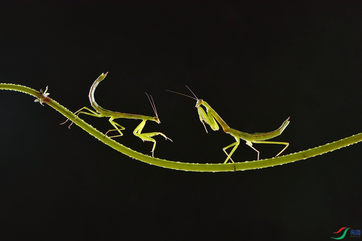 DSC_9401_����.jpg