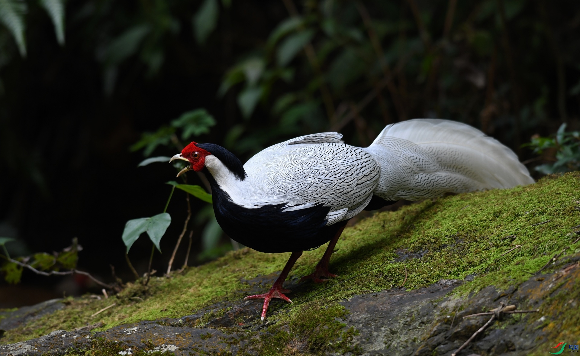 DSC_3673.jpg