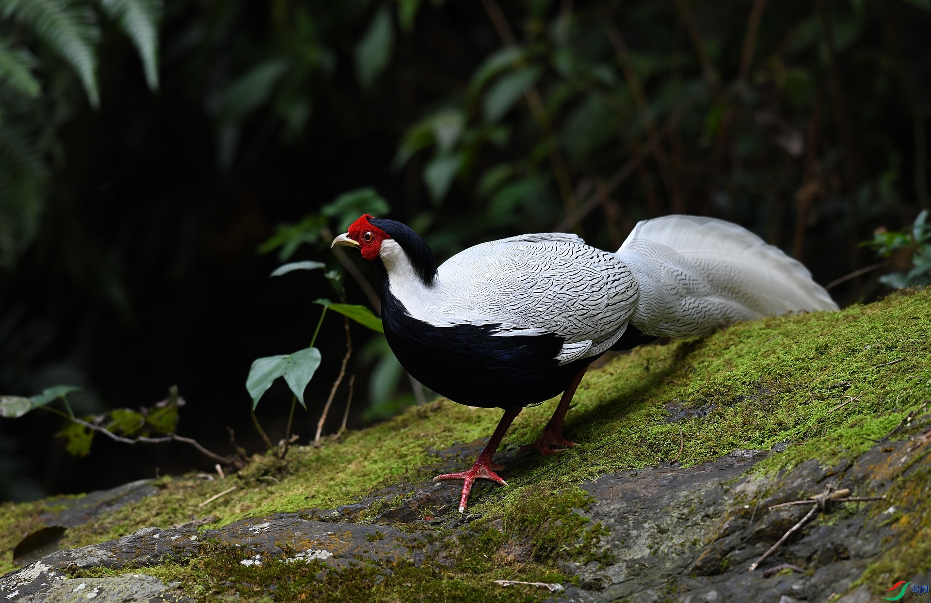 DSC_3670.jpg