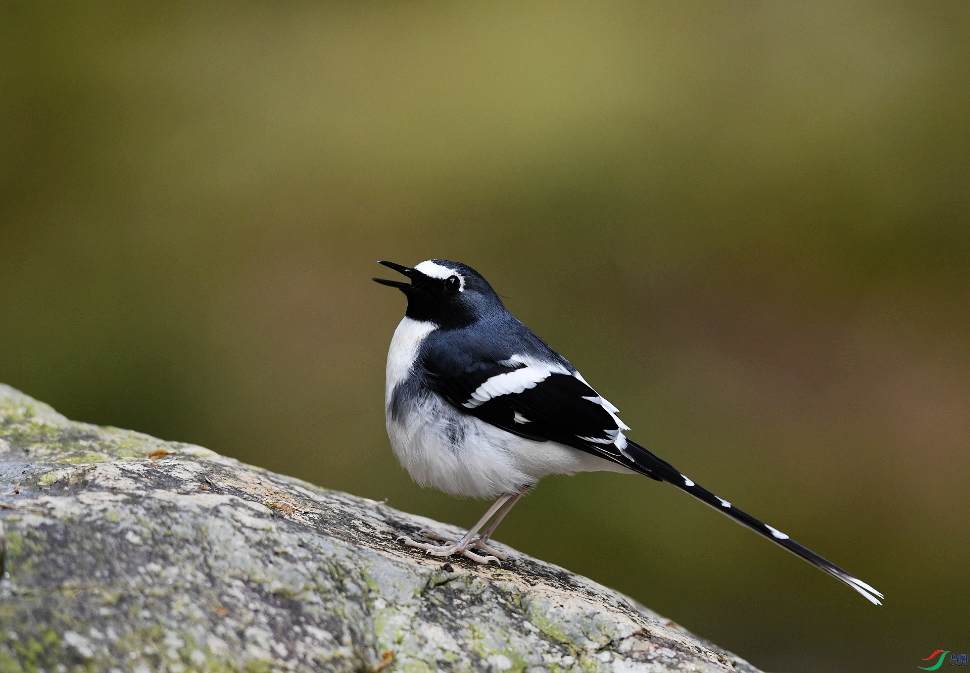 DSC_3975.jpg