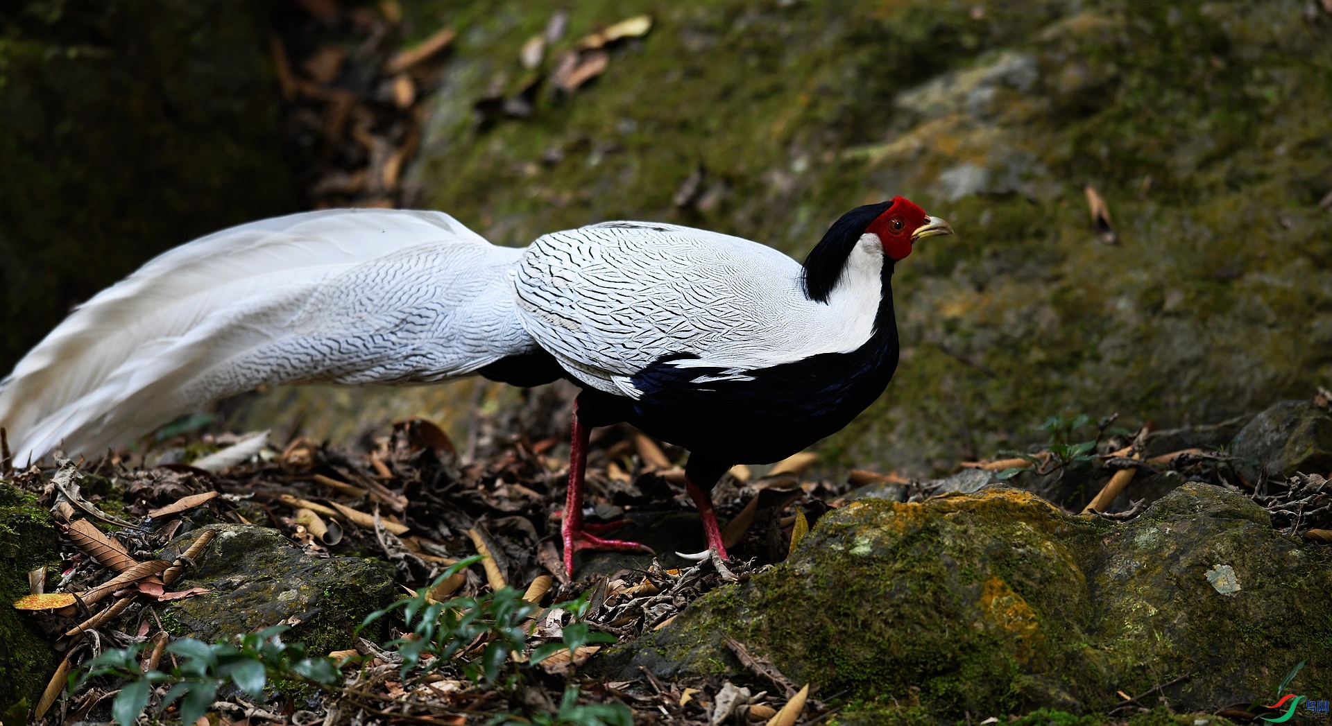 DSC_3689.jpg