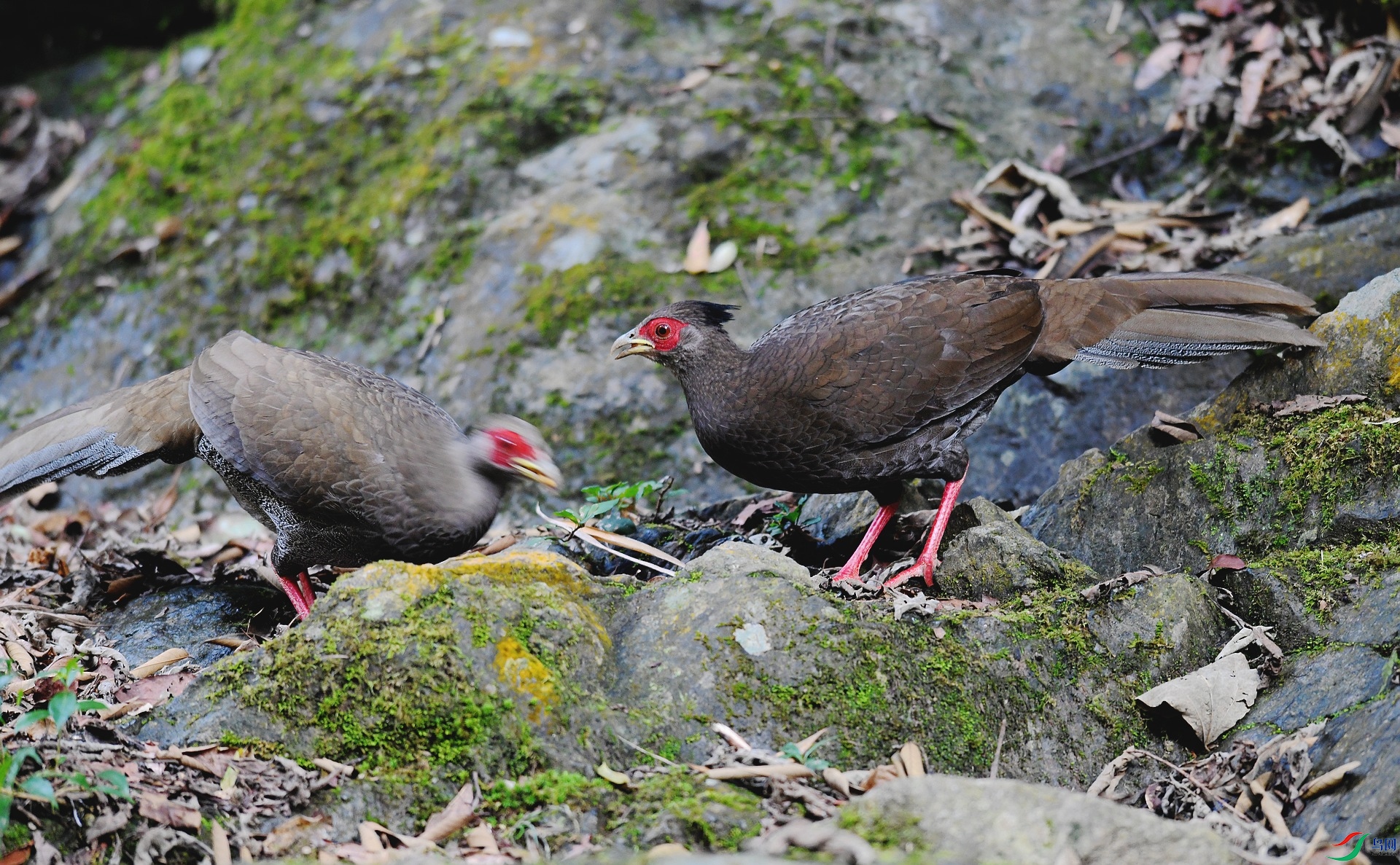 DSC_2529.jpg
