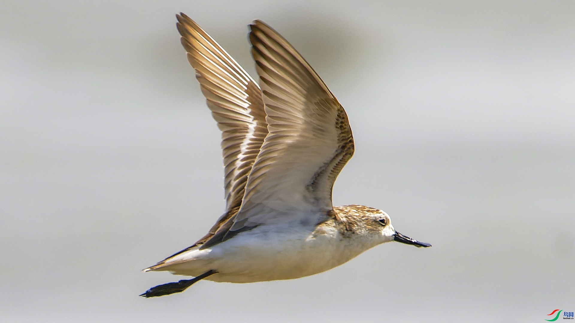 3.12����627��ʦ��Ʒ   ����������֣�ף�ؼ����ٻ����Ѿ�����.jpg