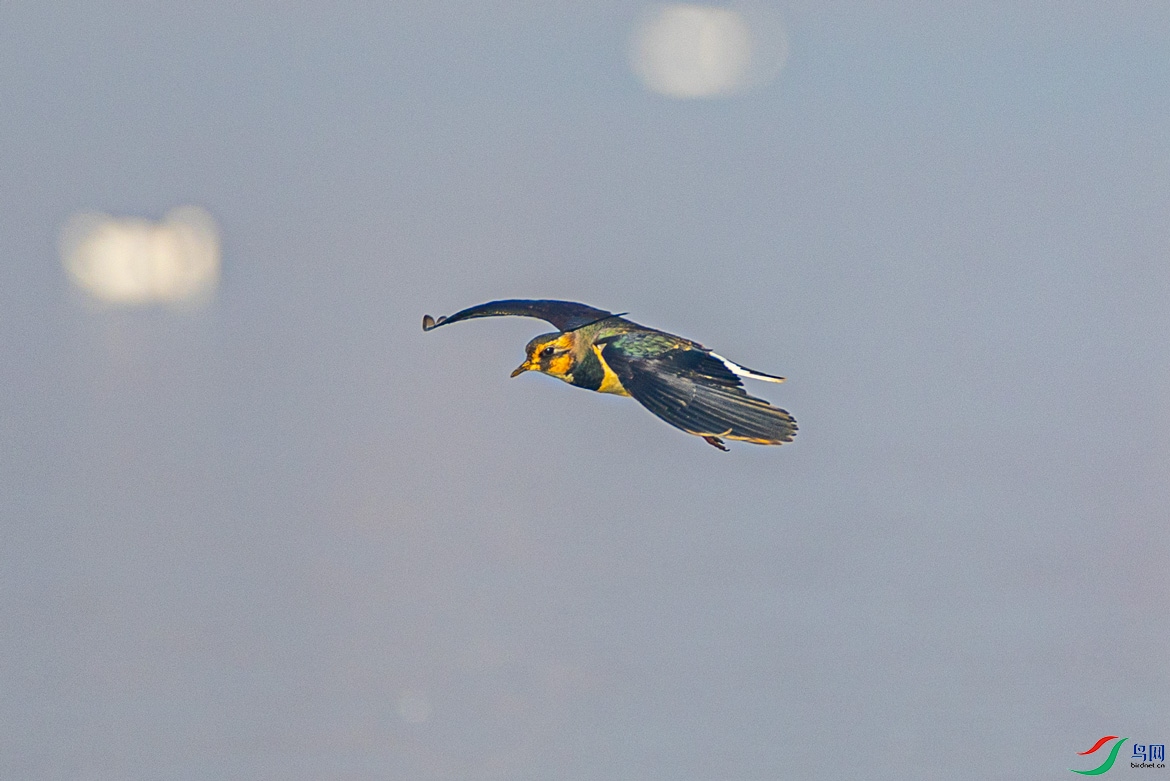 0G6A8166.jpg