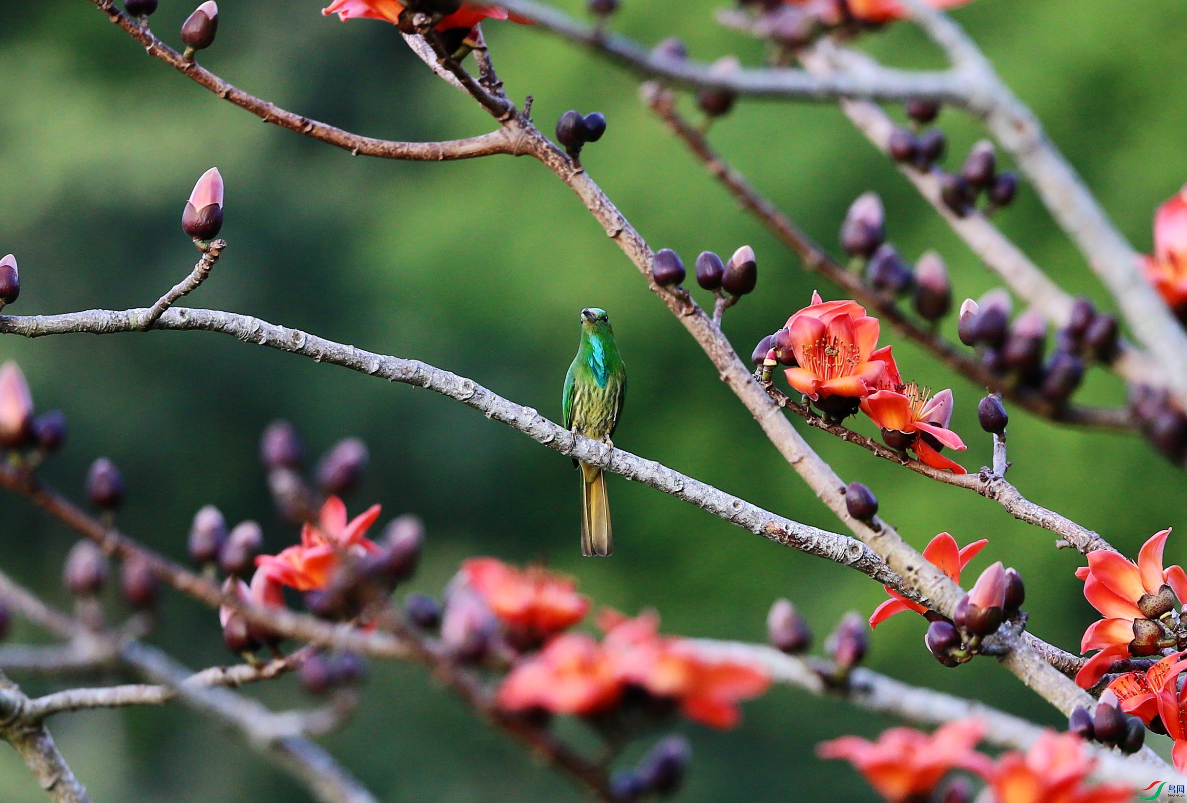 ����ҹ�仢 (109).JPG