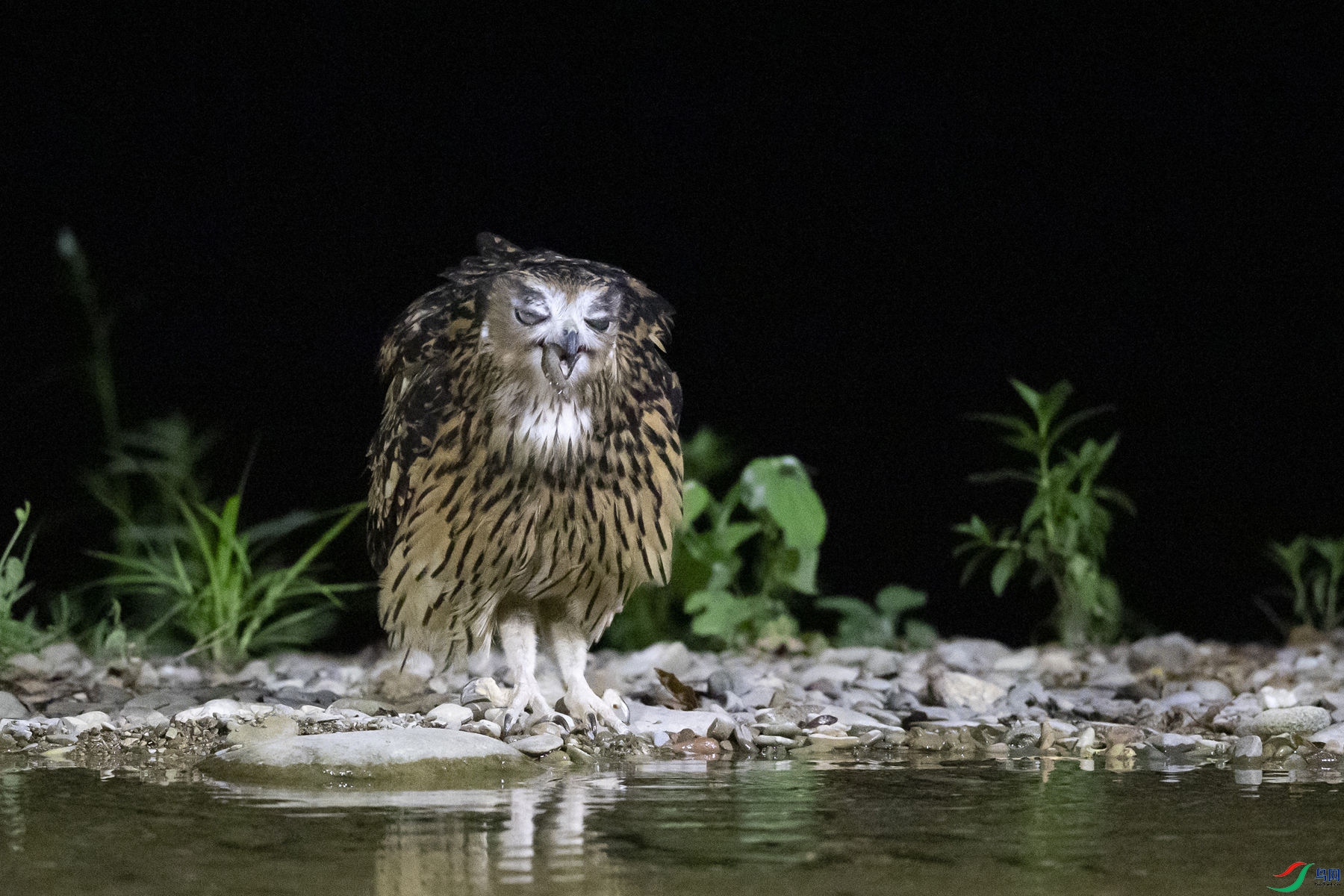 �������^