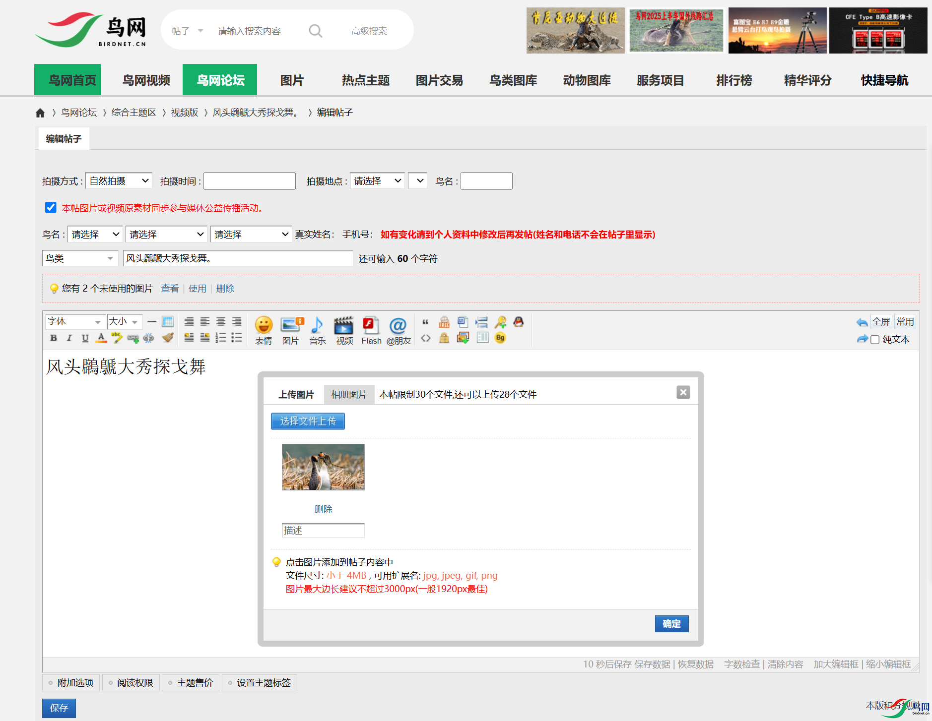 QQ_1741952986389.png