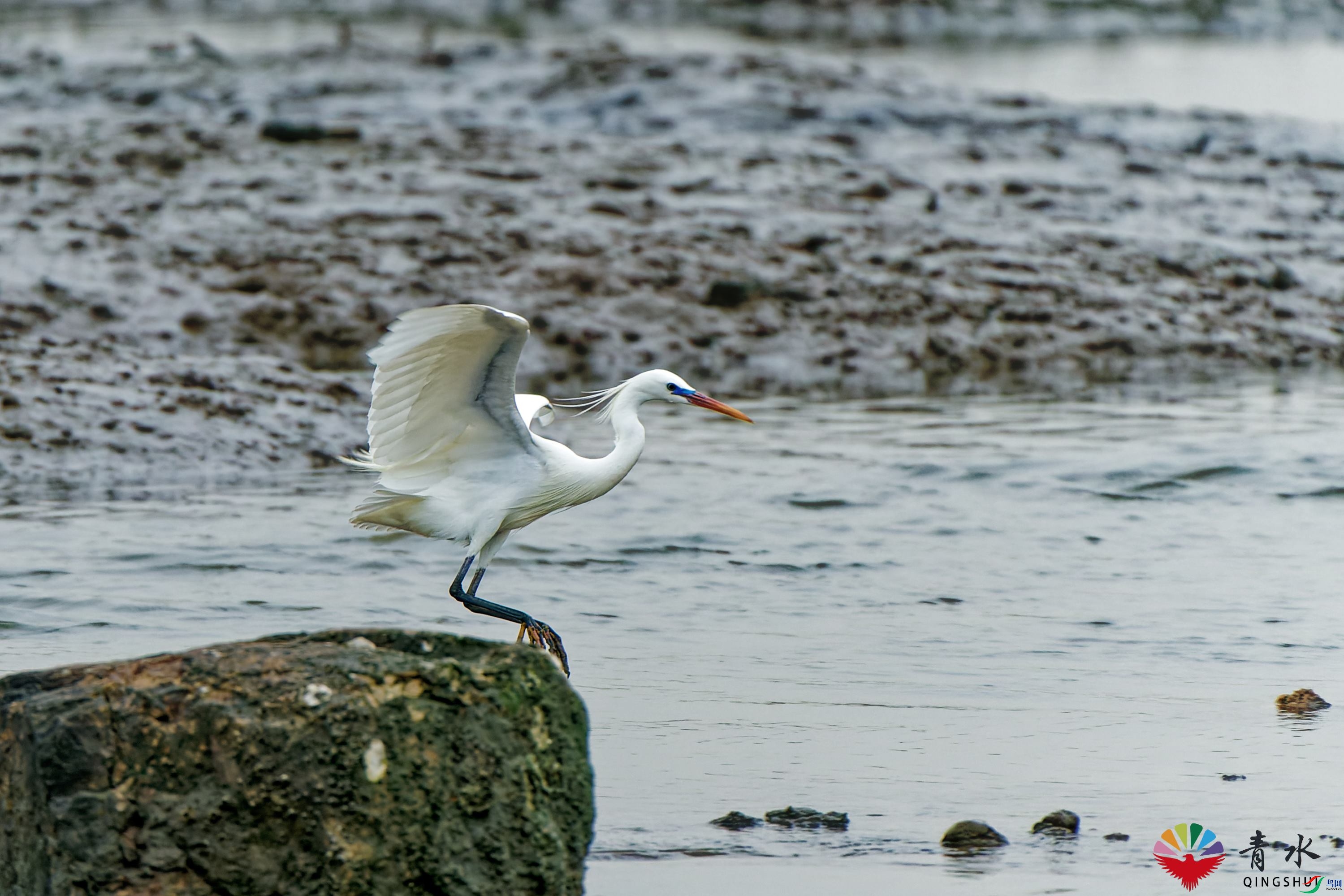 DSC00291_DxO.jpg