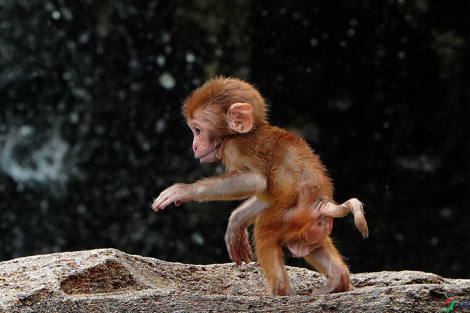 DSC02304 ����.jpg