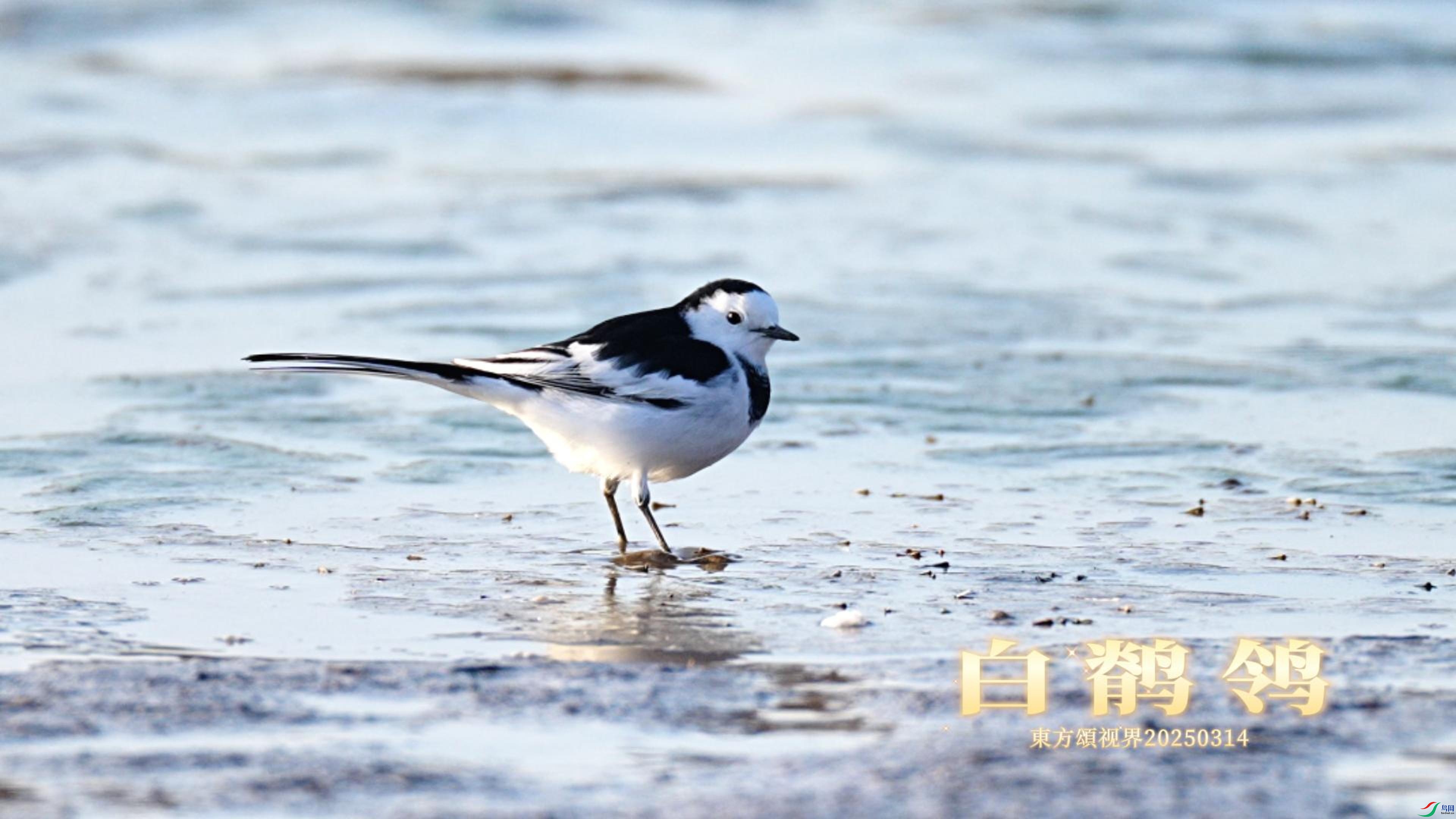 3��14�� ���n�_-����.jpg